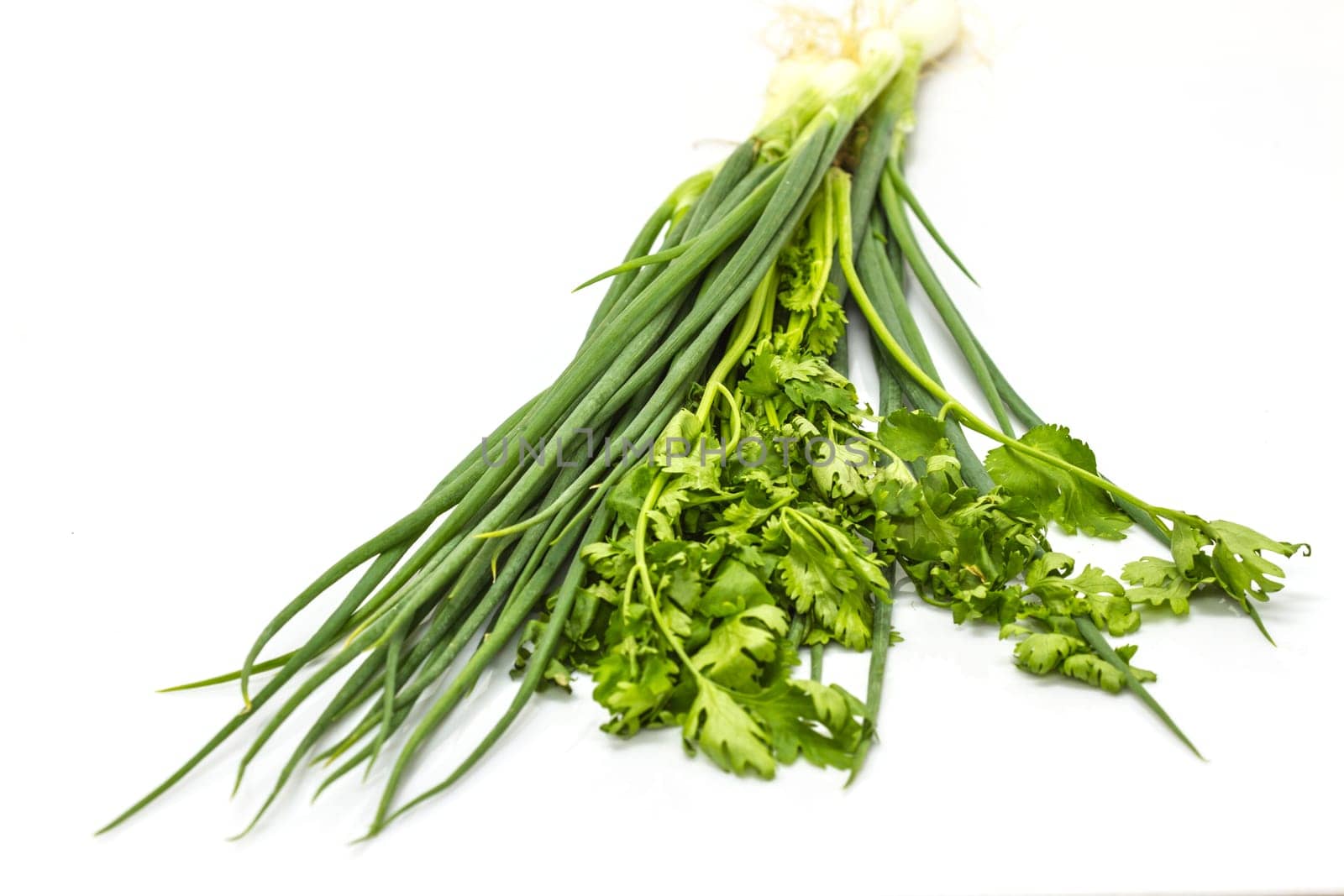 bunch of fresh cilantro and Spring onions on white background