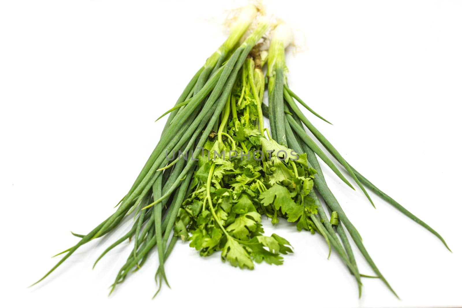 bunch of fresh cilantro and Spring onions on white background