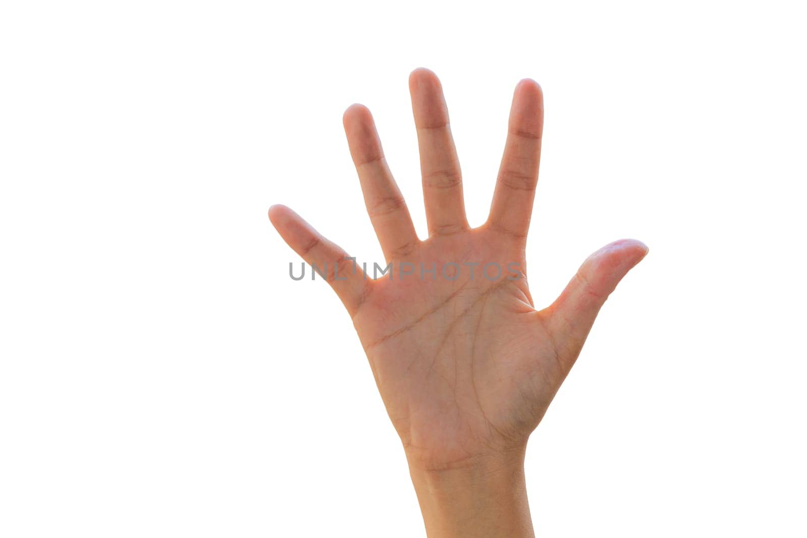 close up of woman hands on white background