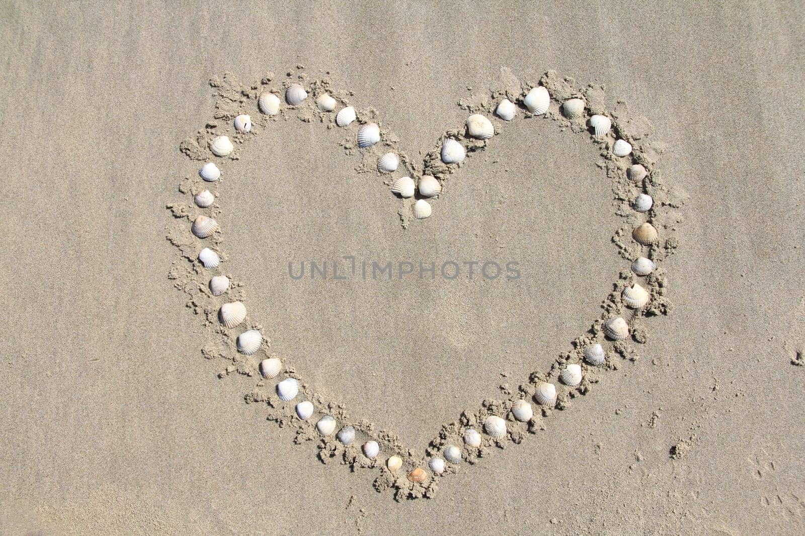 A heart formed from mussel shells.