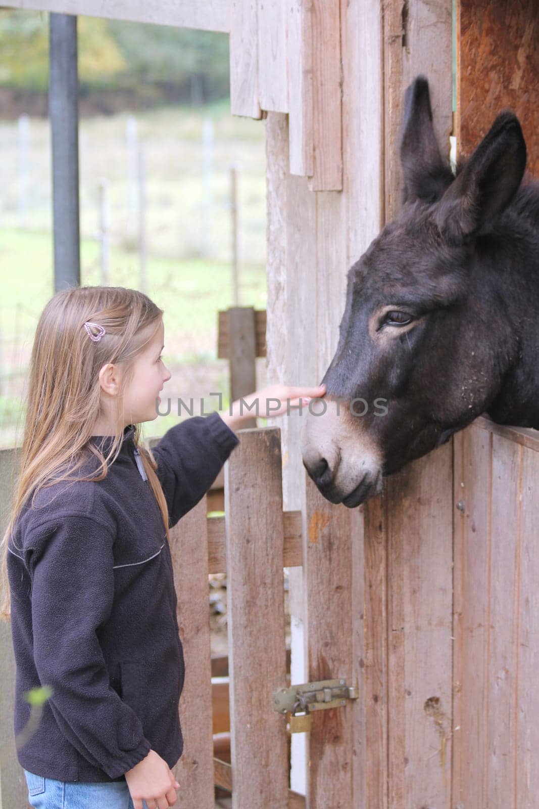Blonde girl caresses a black donkey.