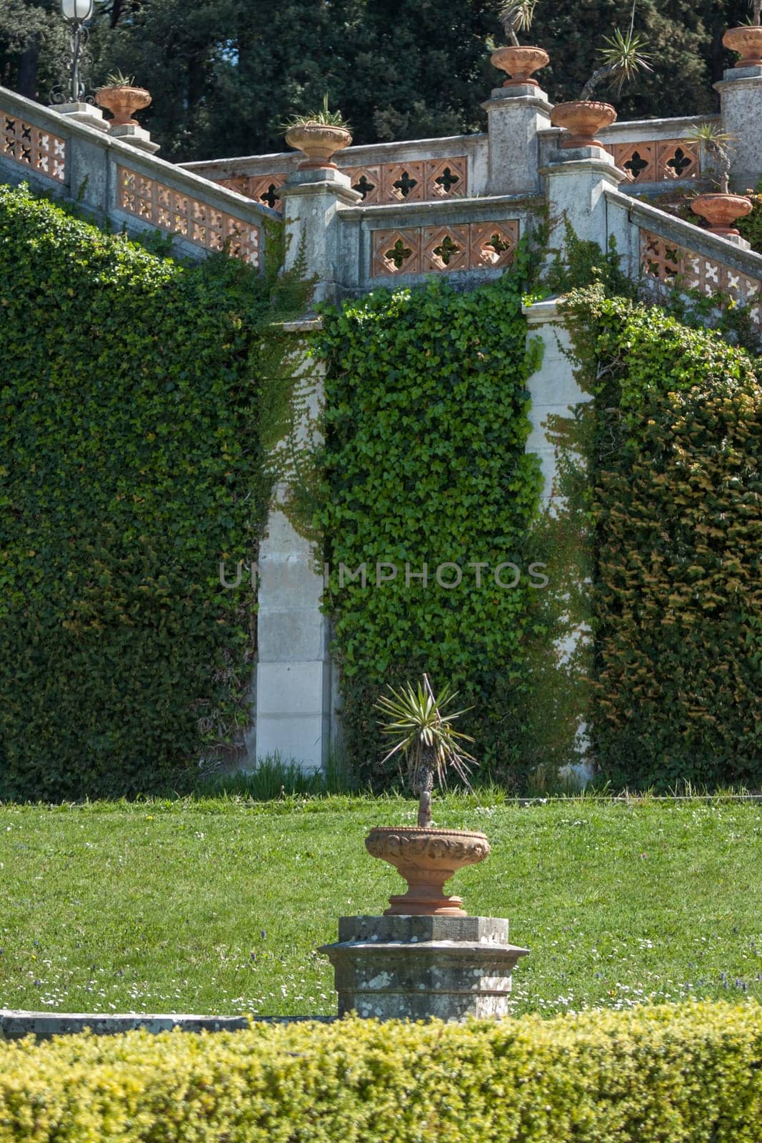 flower pot with small palm on green leaves background
