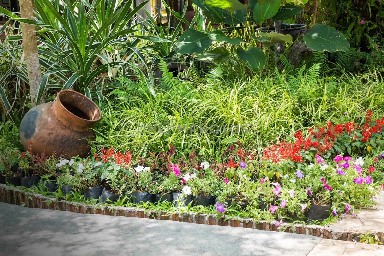Green Garden Of Resort And Spa Surrounding , stock photo