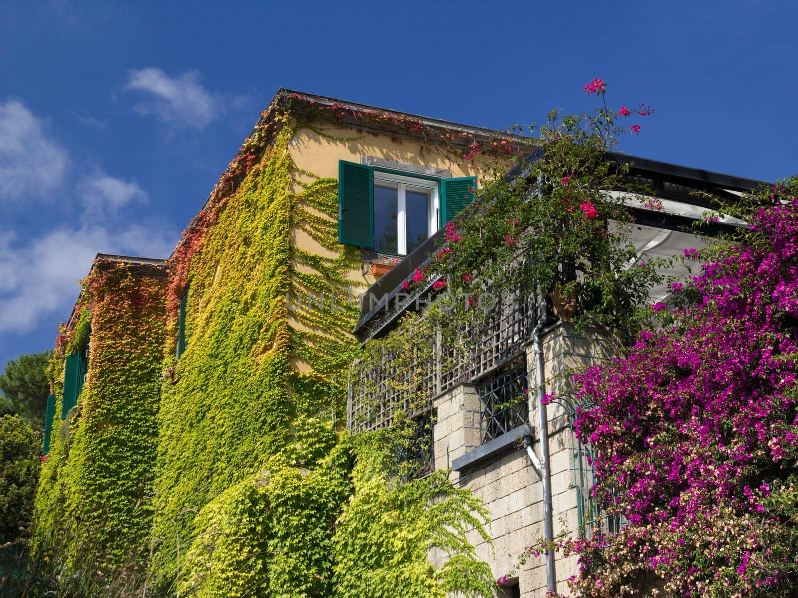 Walls of house in Naples covered with colored leaves and flowers, blue sky background, sunny day.