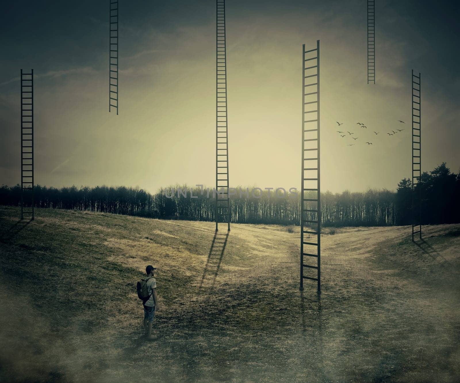 Young boy on a mystic meadow with a lot of ladders going high in the sky, thinking which to climb. Different life opportunities, best choice and career development concept.