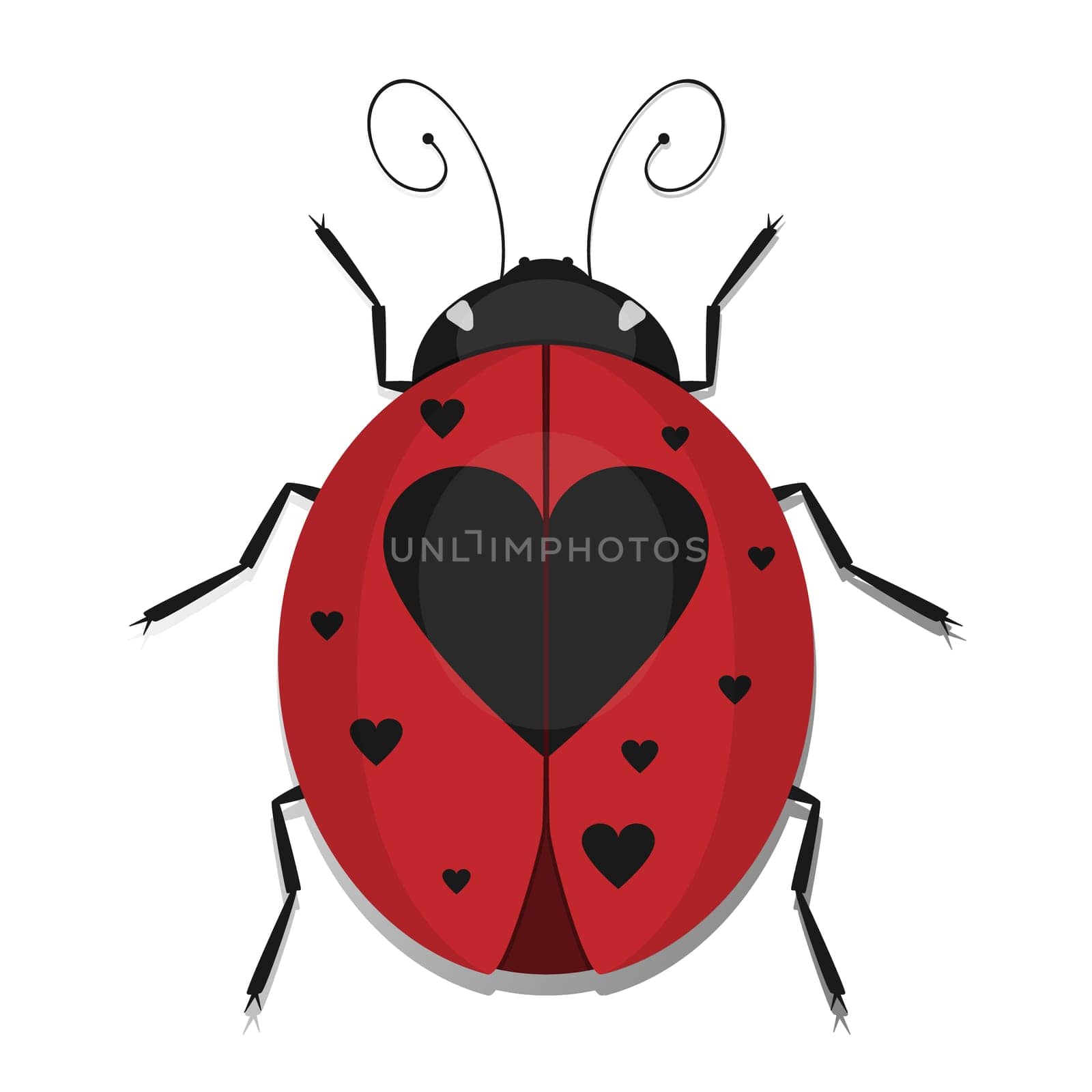 Ladybug beetles with heart spotted wing, vector ladybird ikon isolated on white background.
