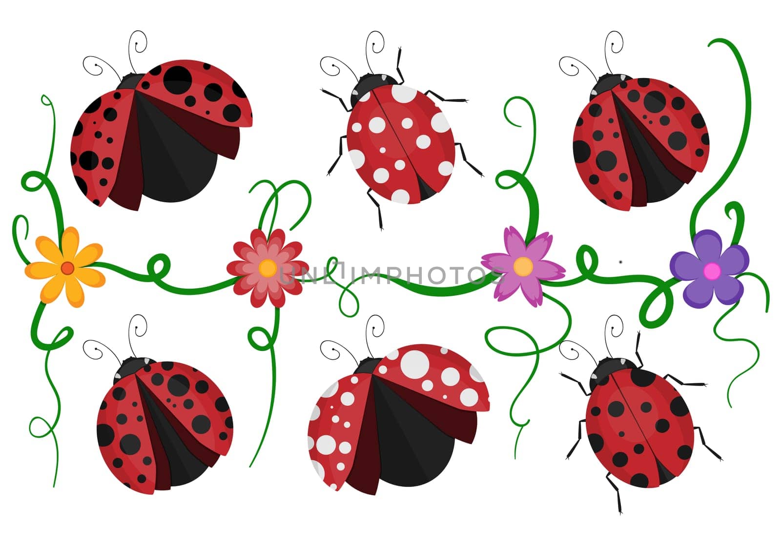 Ladybird beetles with shiny red and black spotted wing, vector pattern of crawling ladybugs and colorful flowers isolated white background.