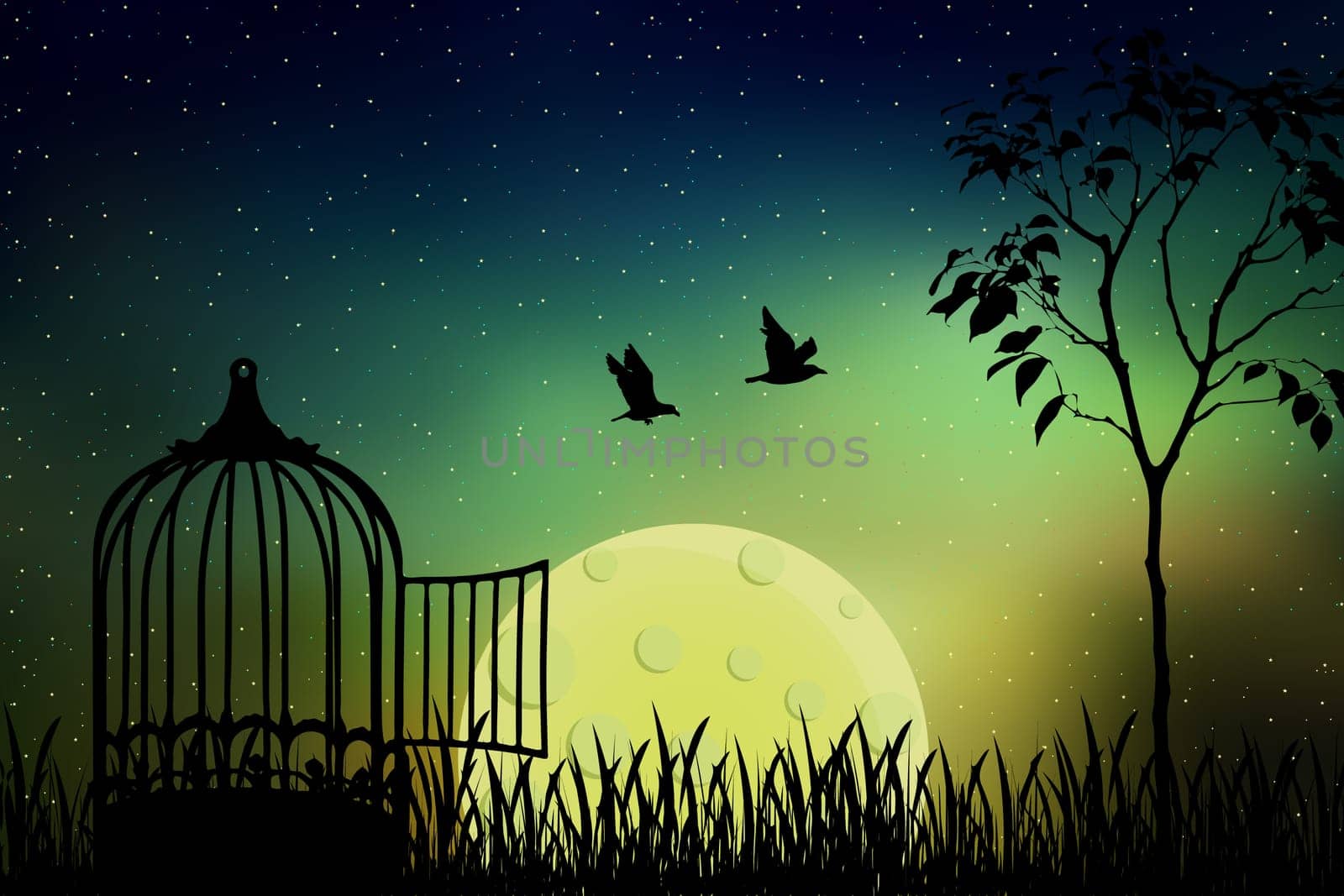 Birds couple escape from a cage, released to nature. Beautiful and positive vector illustration with the full moon and a starry sky background. Freedom and togetherness concept.