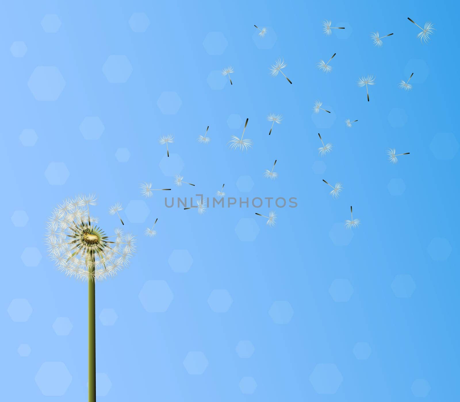 A lot of seeds escape from a dandelion flower on blue sky background. Vector illustration, breaking free, life journey concept .