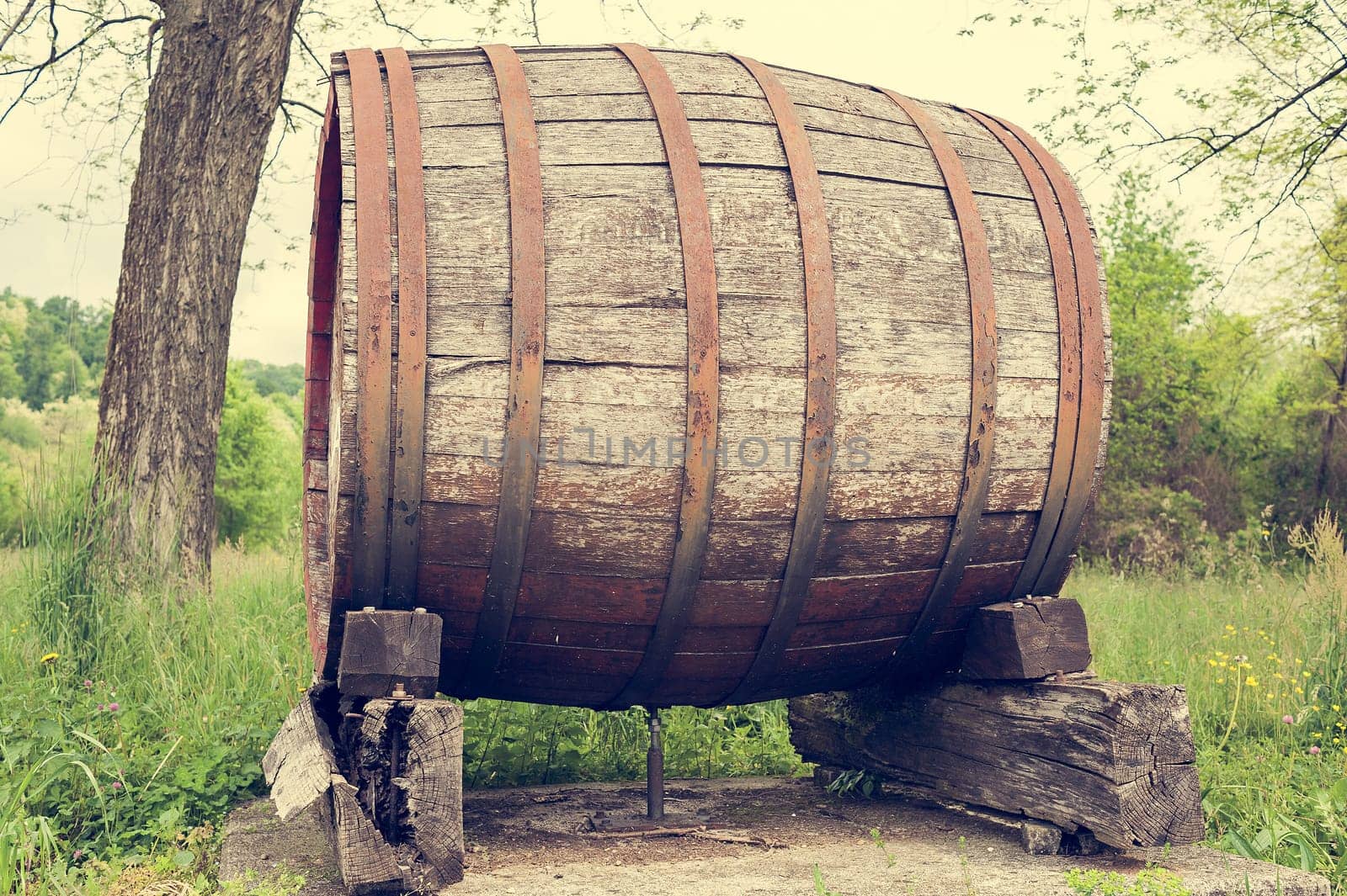 Old barrel indicating the beginning of a wine-producing area of fine grapes.