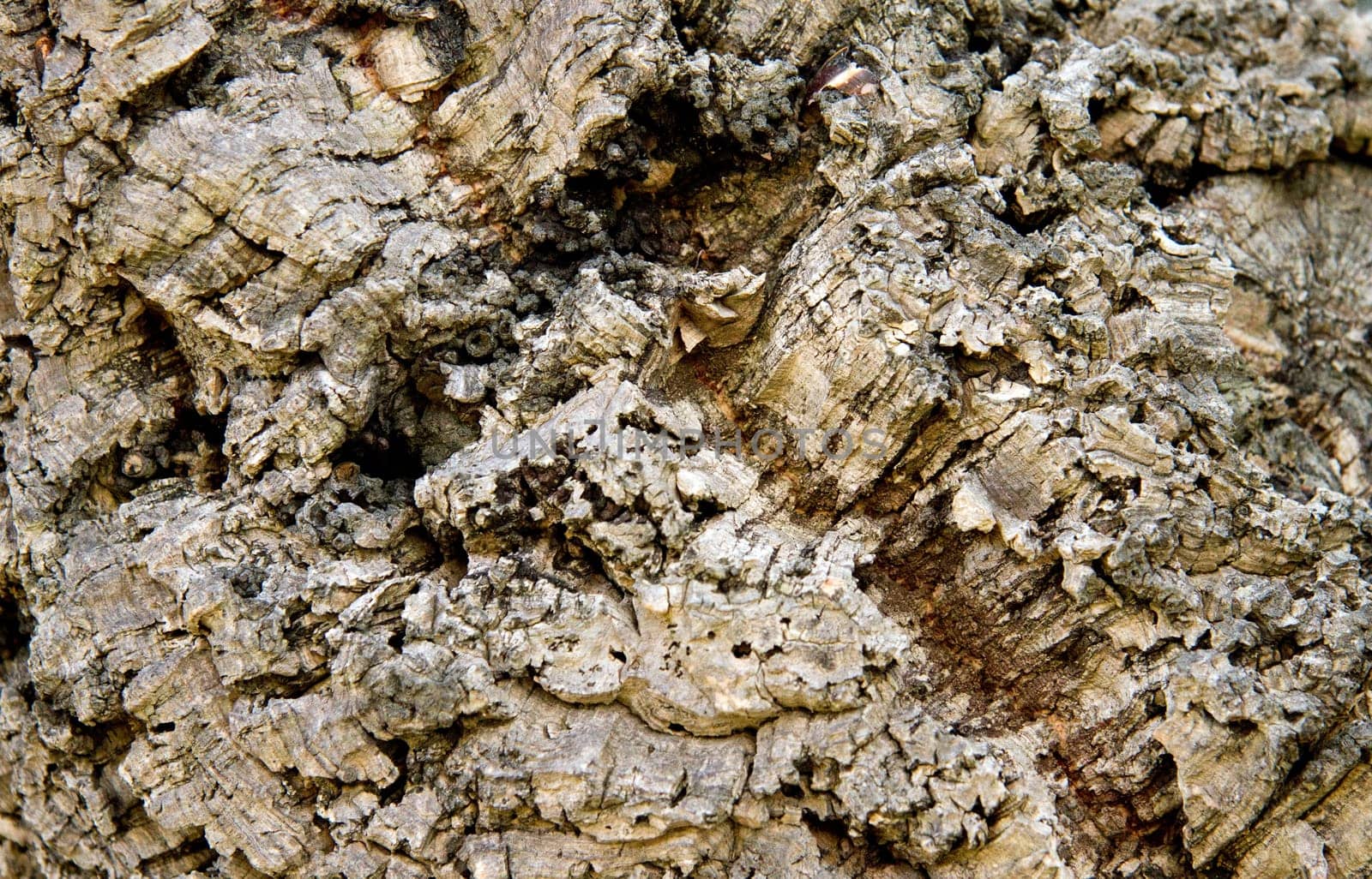 Cork structure