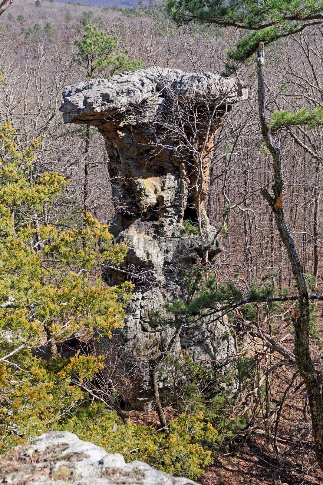 Pedestal Rock in the Forest in the Pedestal Rocks Scenic area in Ozark National Forest in Arkansas