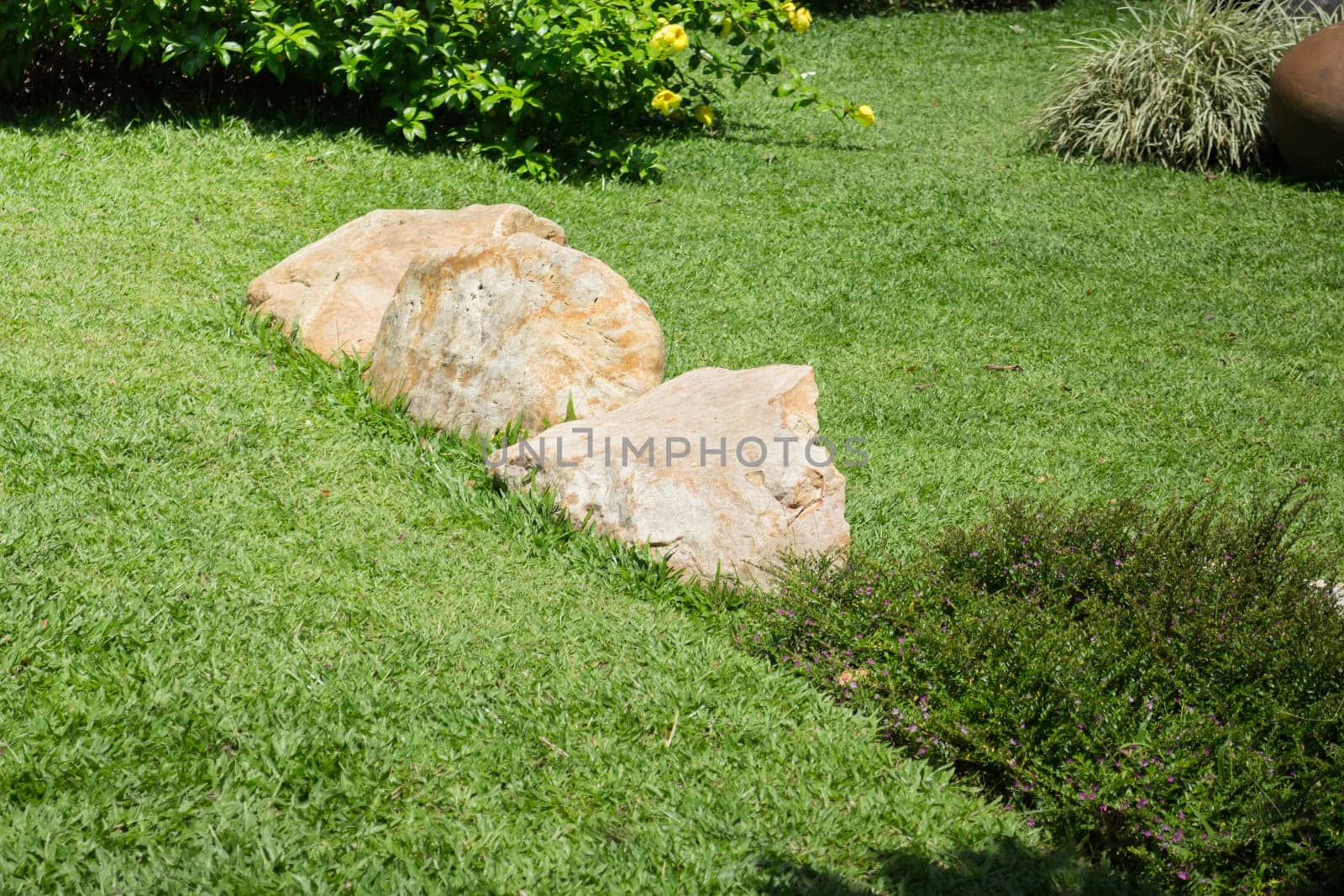Fresh Summer Green Grass Garden, stock photo