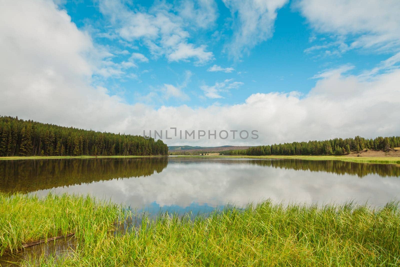 Landscape of a calm inlet of the Yellowstone River with clouds reflecting on the surface, Wyoming, USA..