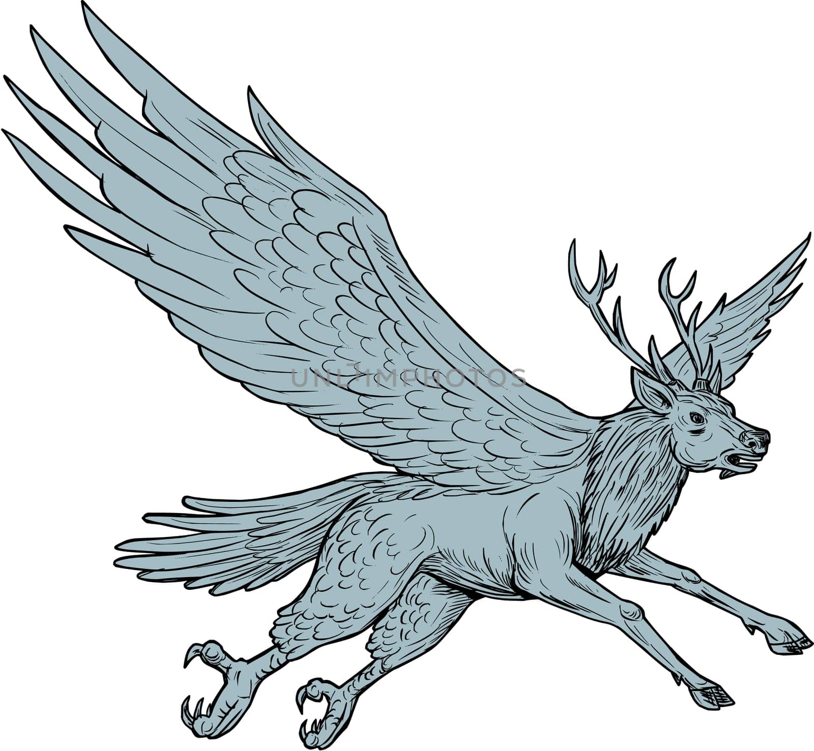 Drawing sketch style illustration of a Peryton, a Medieval European mythical creature with head, forelegs and antlers of a full-grown stag with the wings plumage and hindquarters of a bird flying viewed from the side set on isolated white background.