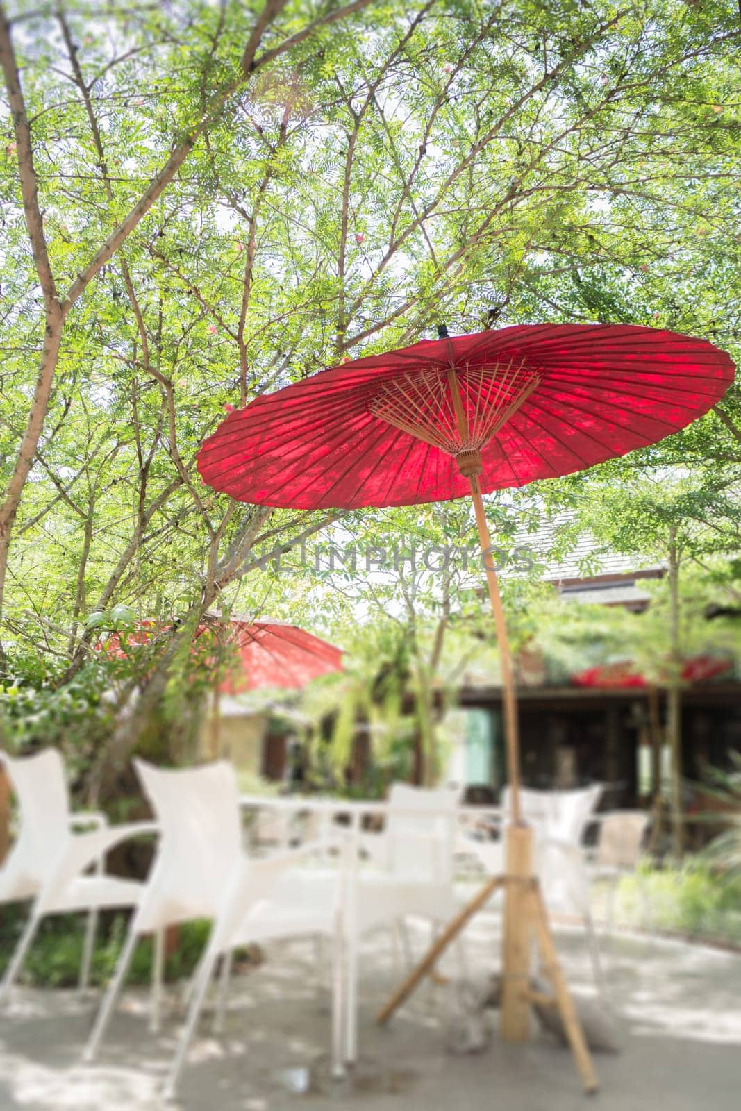 Outdoor Table And Chair In Garden, stock photo
