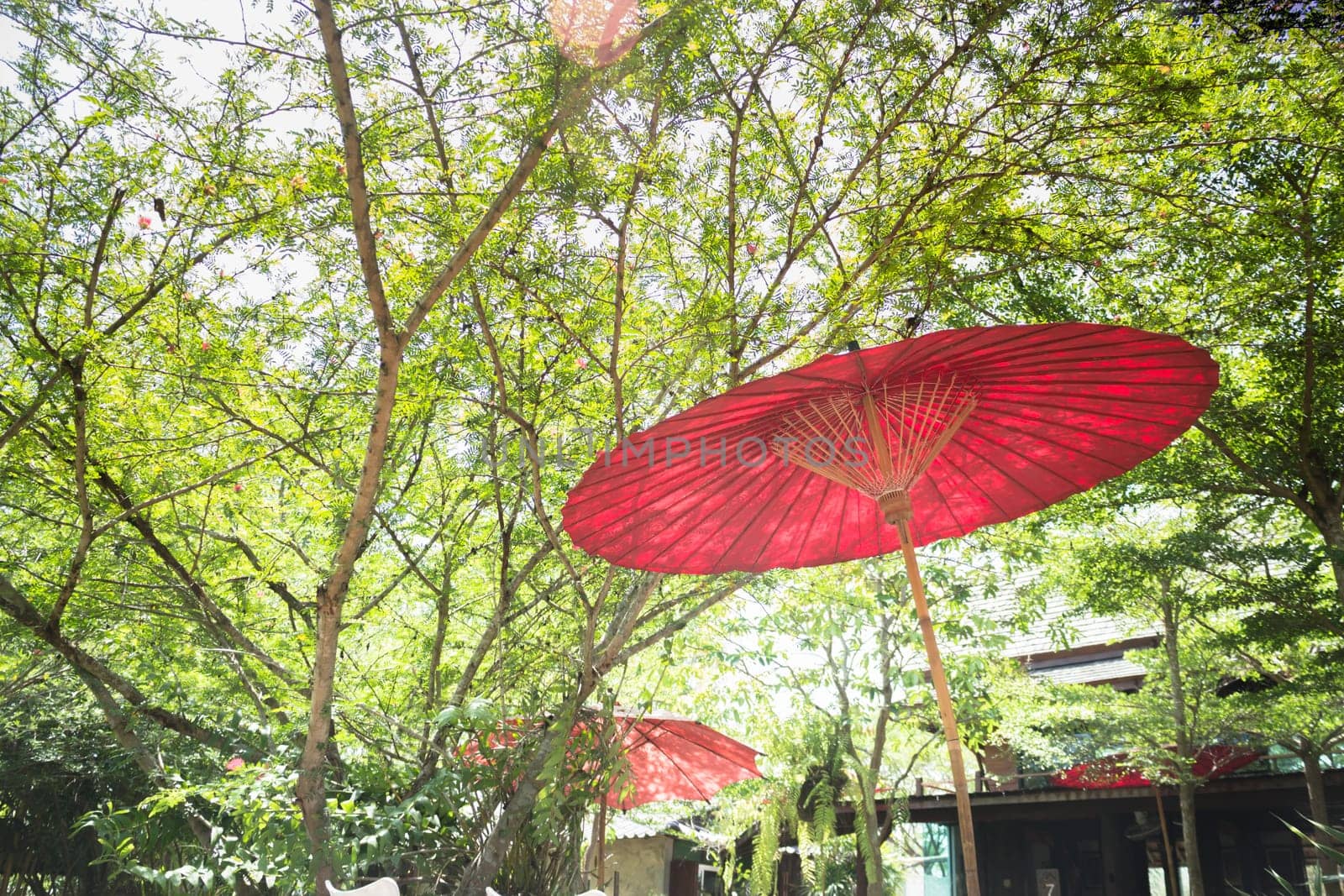 Green Garden Of Resort And Spa Surrounding , stock photo
