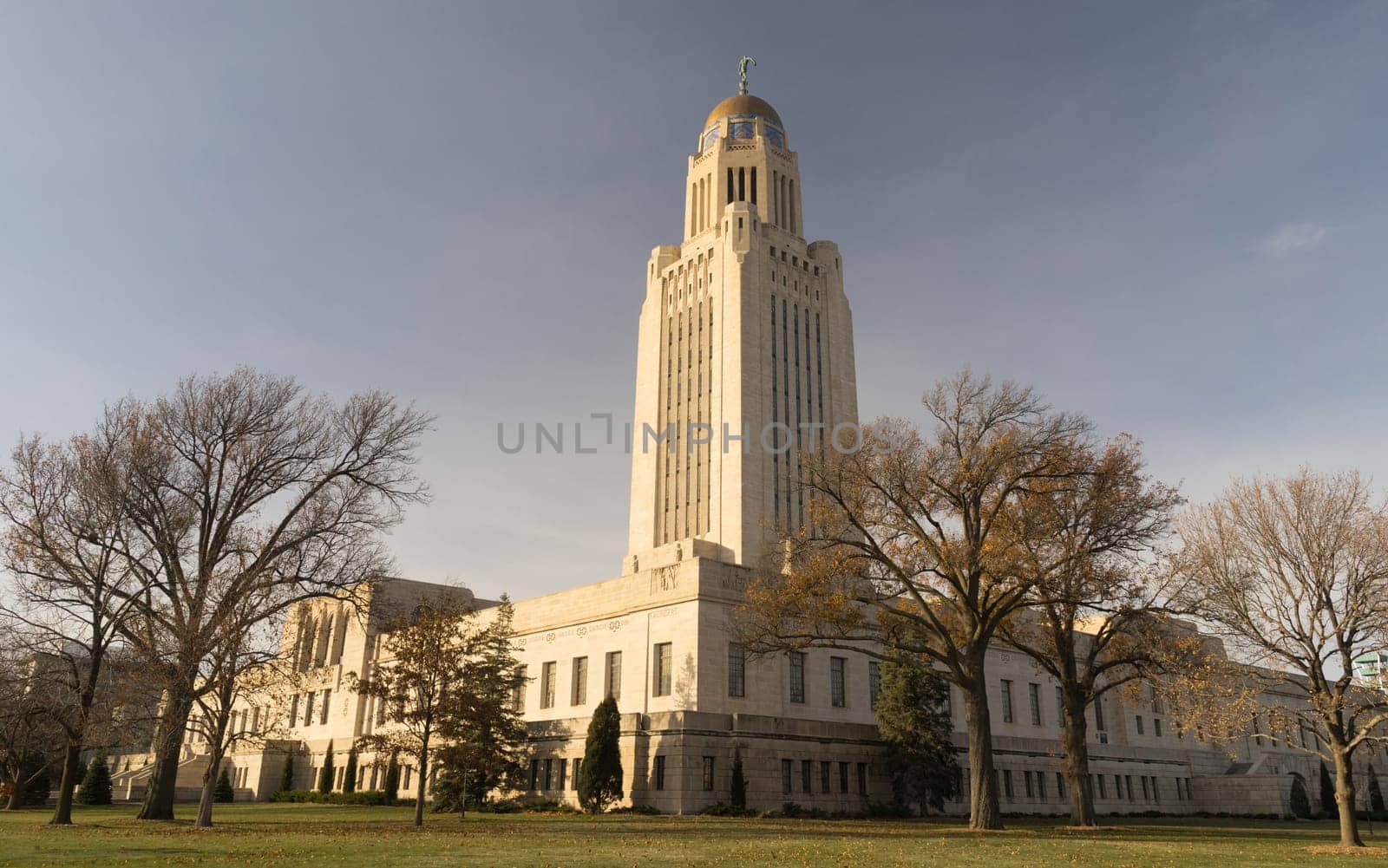 Leaves still hold on in December at Lincoln's Capital