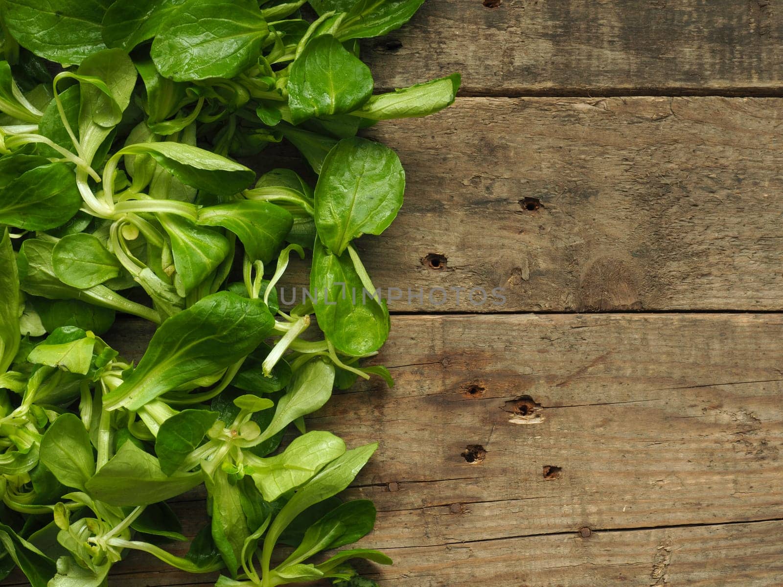 Lambs lettuce on an old rustic wooden kitchen table with space for text