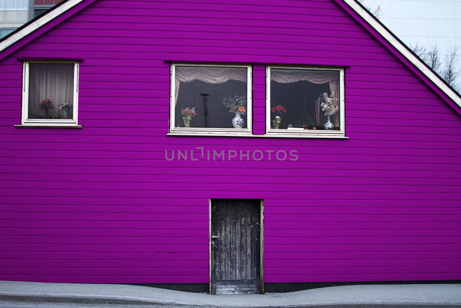 house wood architecture entrance door  pink  color