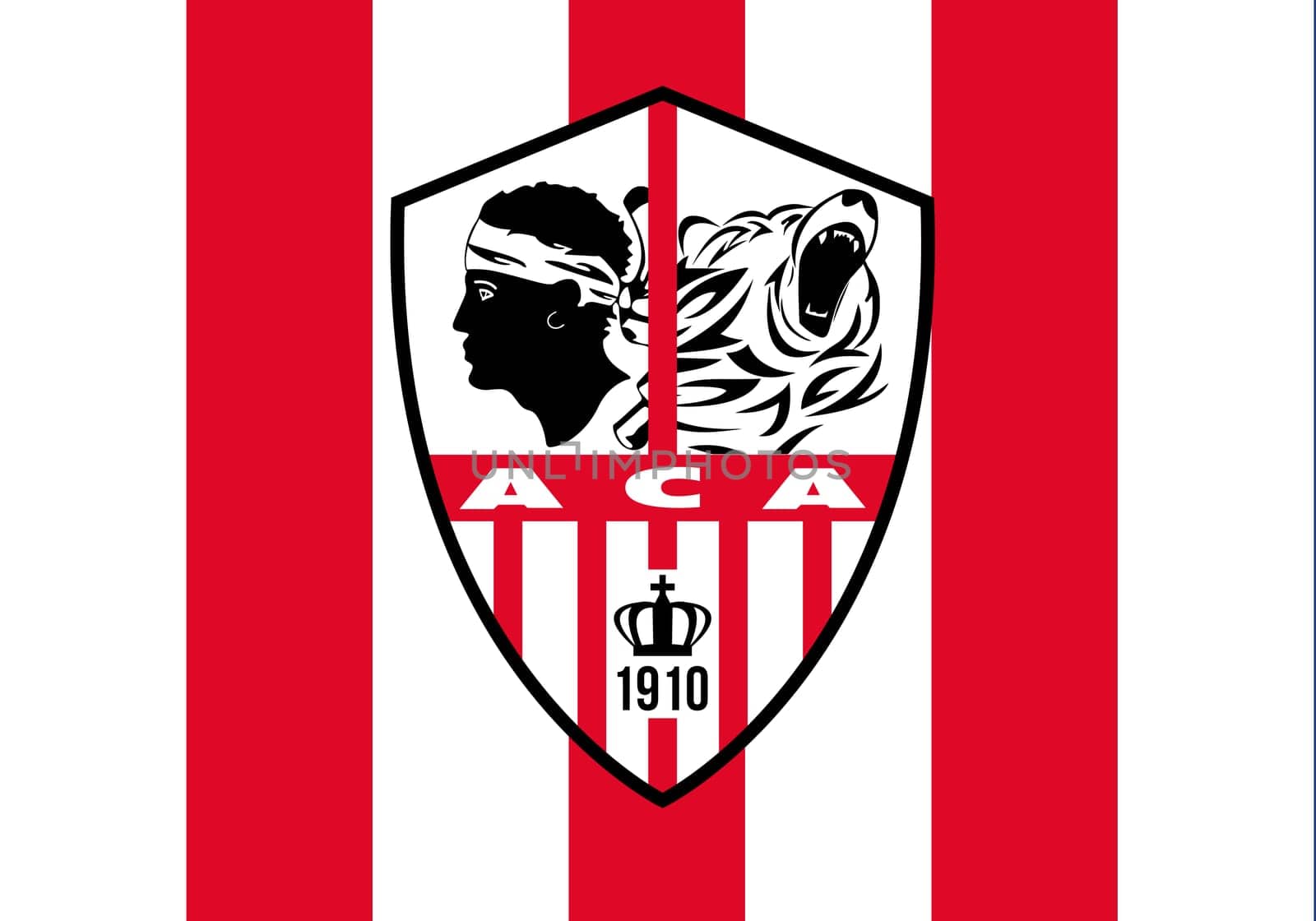 ac jaccio  French association football team
