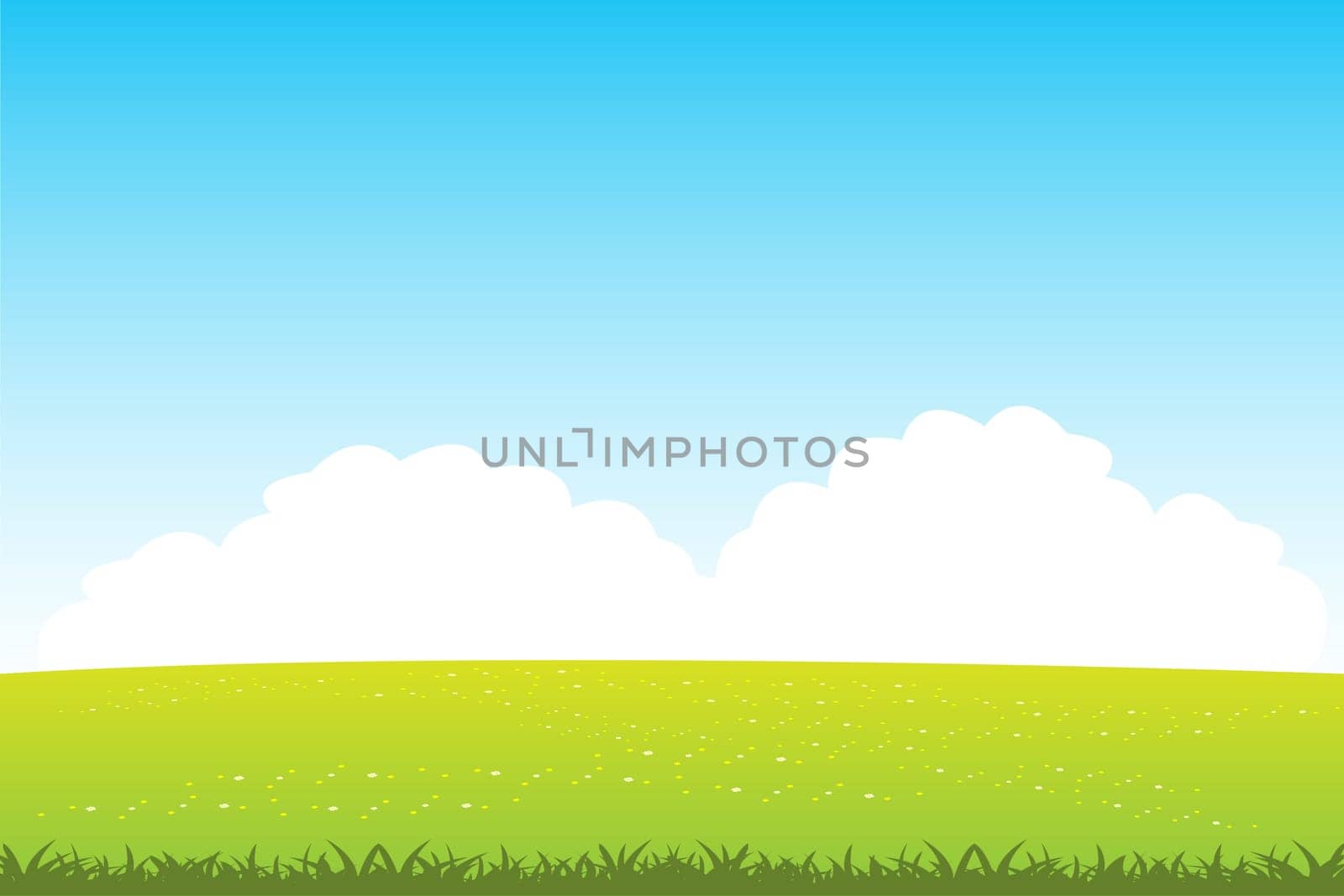 Beautiful landscape of the year field with flower