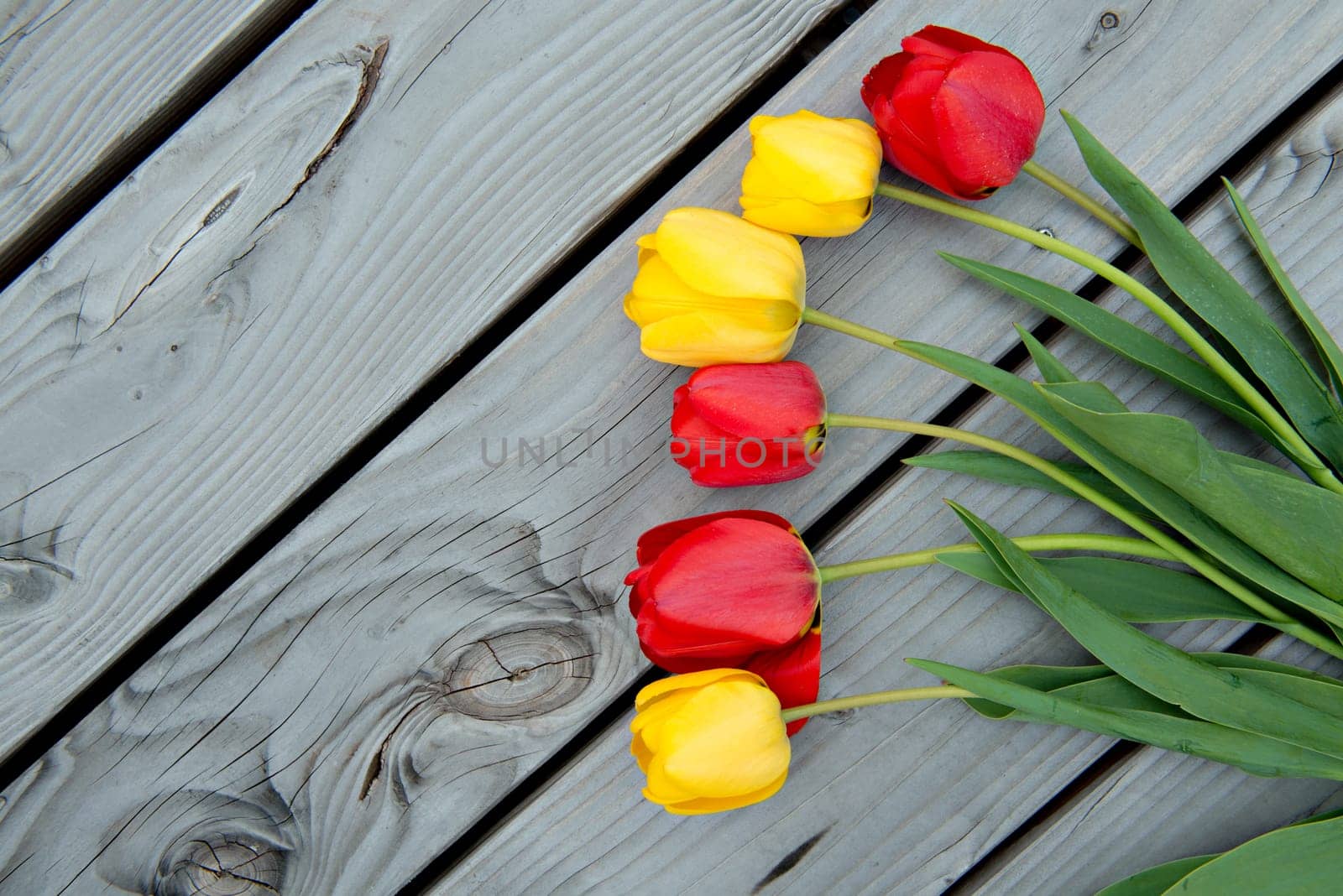 yellow and red tulips on wooden ground from above