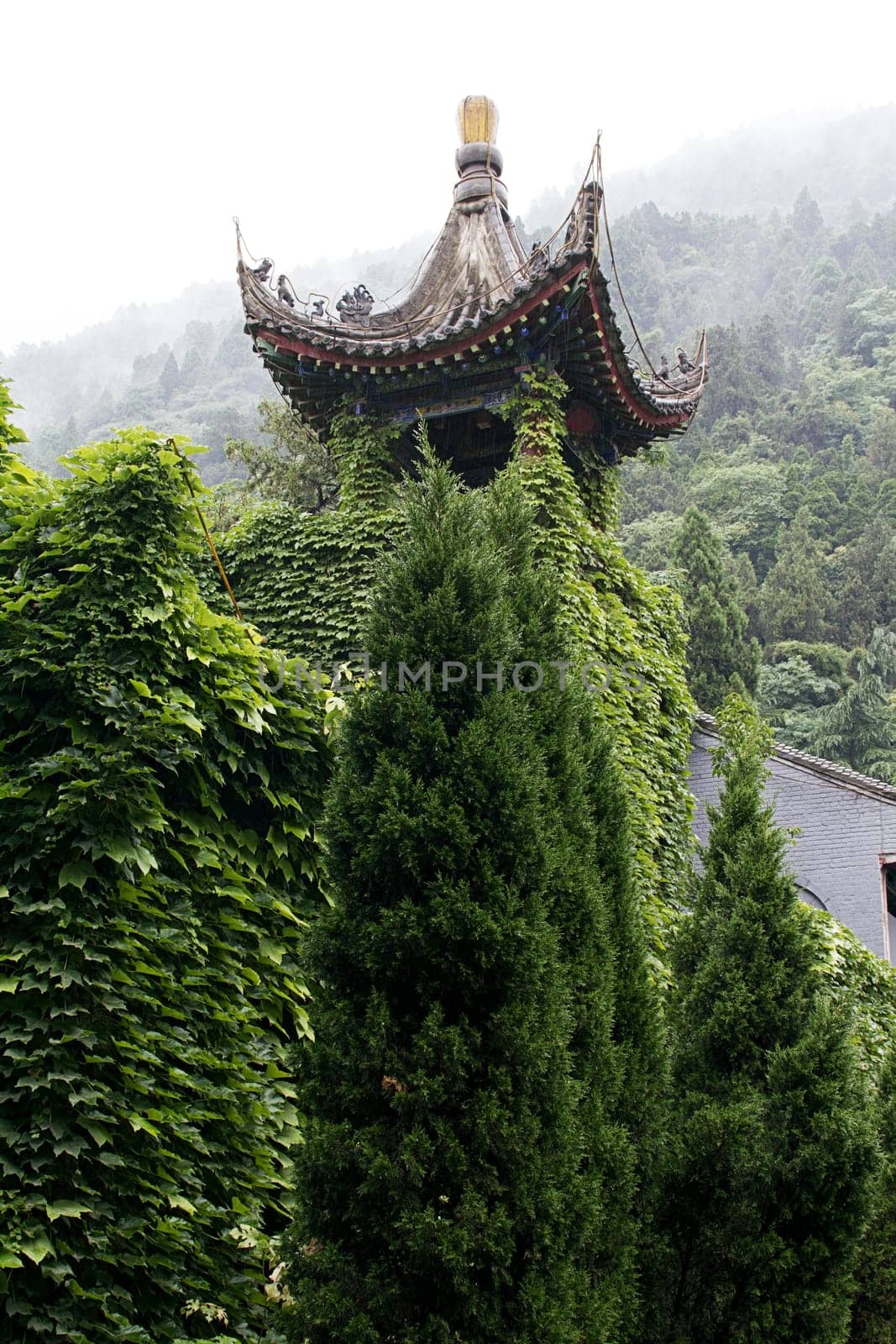 mountain foggy rainy temple vegetation