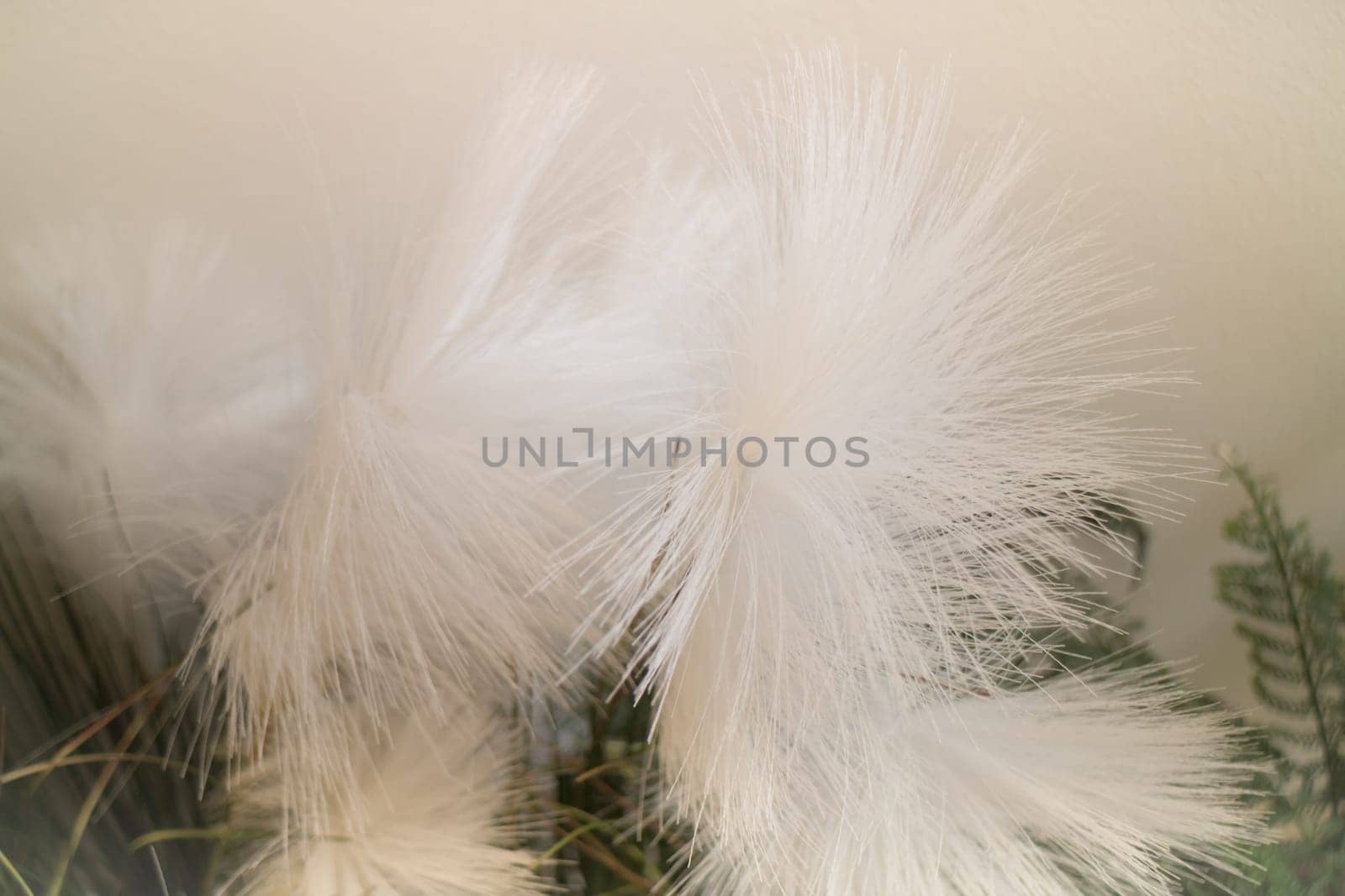 White Grass Flower Decorated On Wall, stock photo