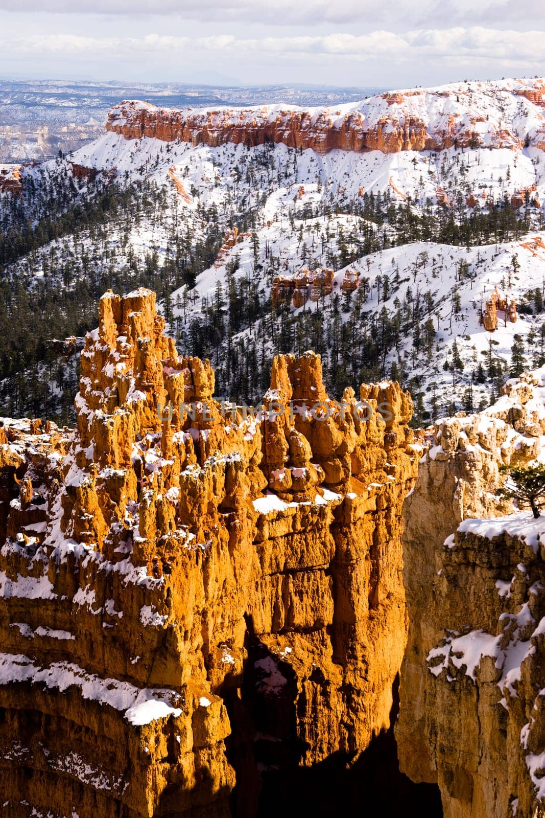 Fresh snow falls in Bryce Canyon in late November