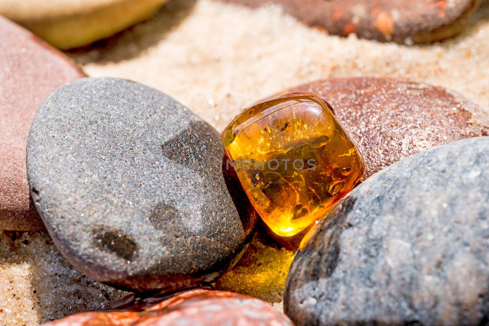 Amber on the Baltic Sea beach.