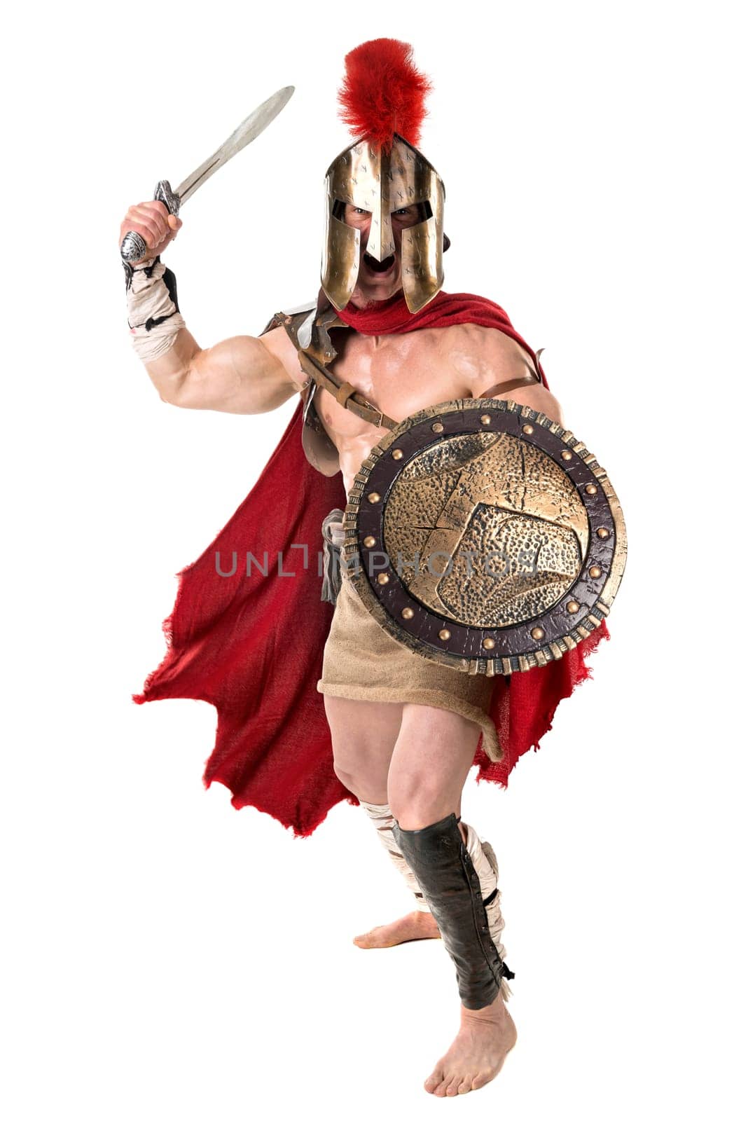 Ancient warrior or Gladiator posing over a white background