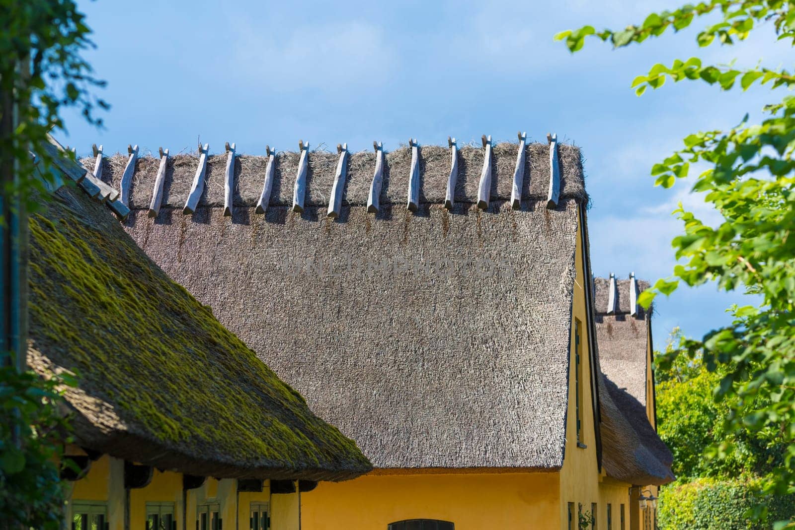 typical houses in the old fishermen's village of Kikhavn, in the northern part of Sealand