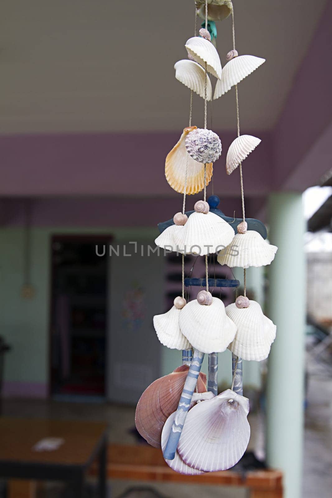 sea shell ornament hanging