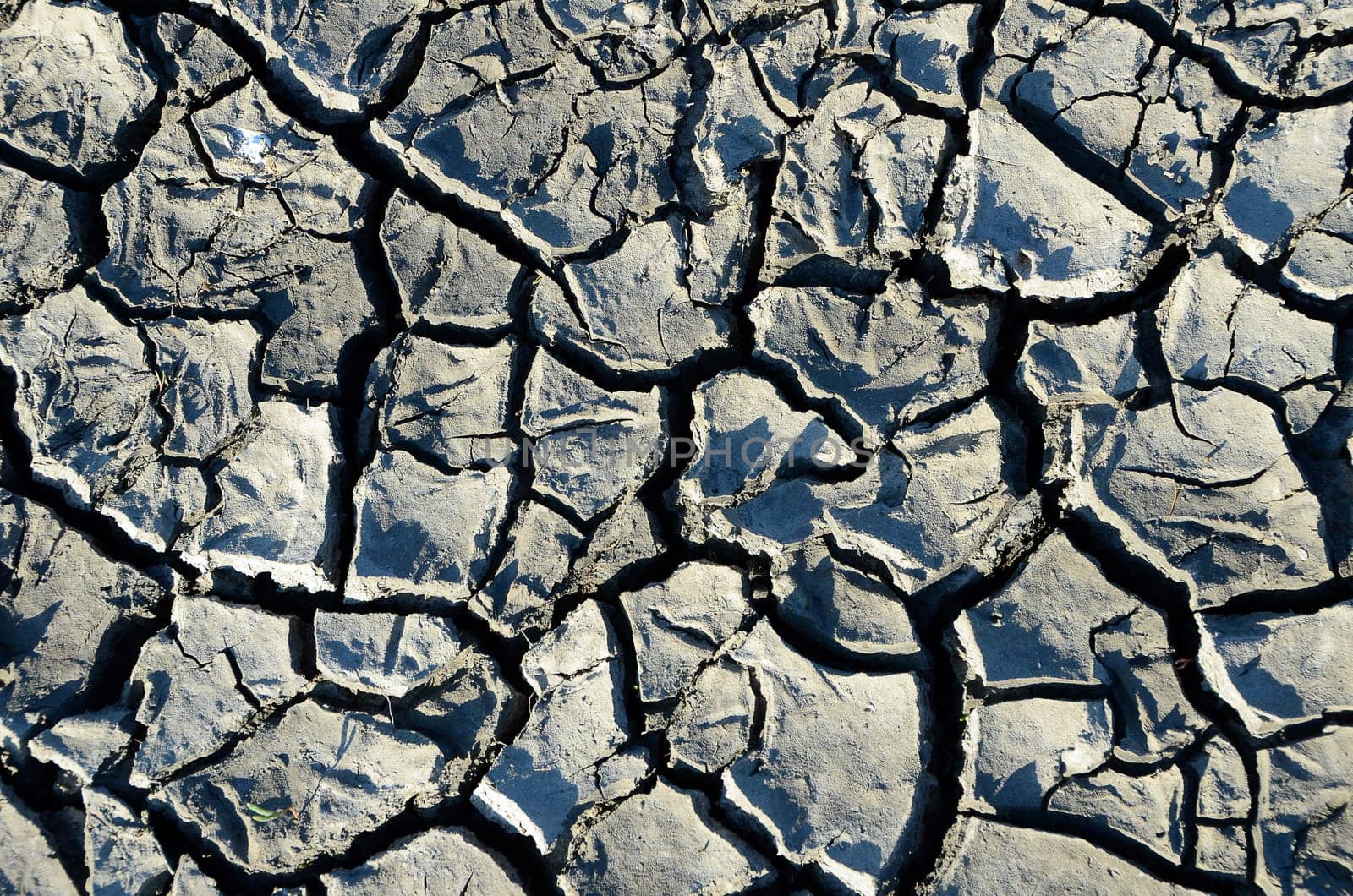Dryness