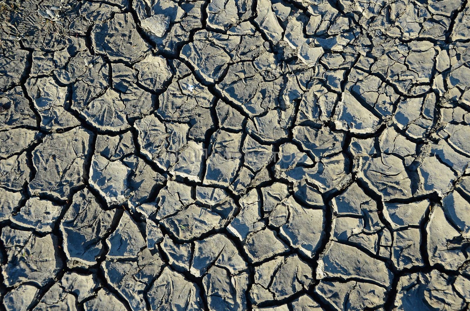 Dryness