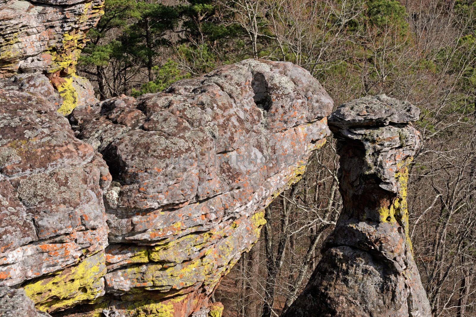 Turtle Rock on a Forest Cliff in the Kings Bluff Scenic area in Ozark National Forest in Arkansas