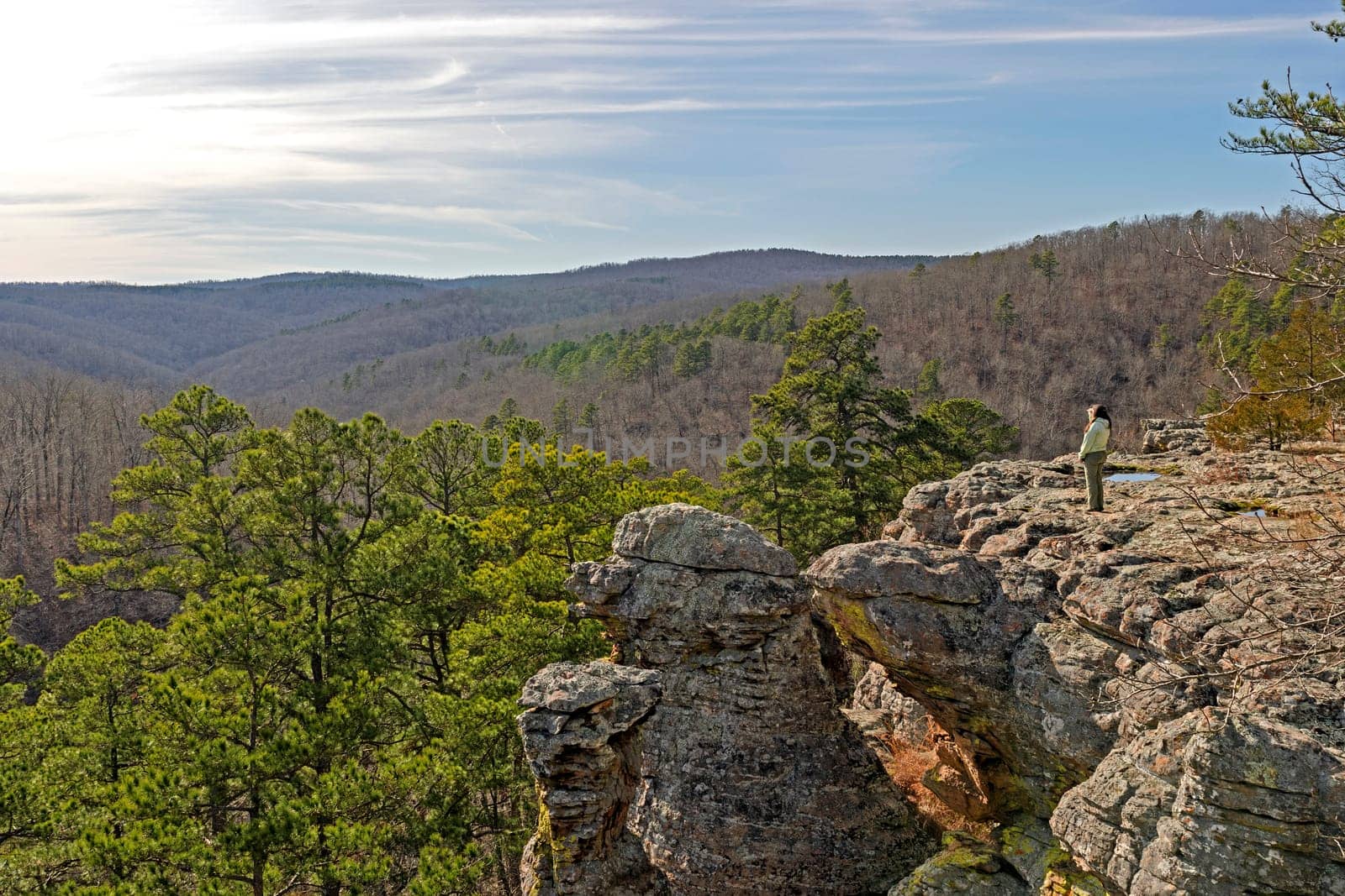 Looking out on a Forest Panorama in the Kings Bluff Scenic Area in Ozark National Forest in Arkansas