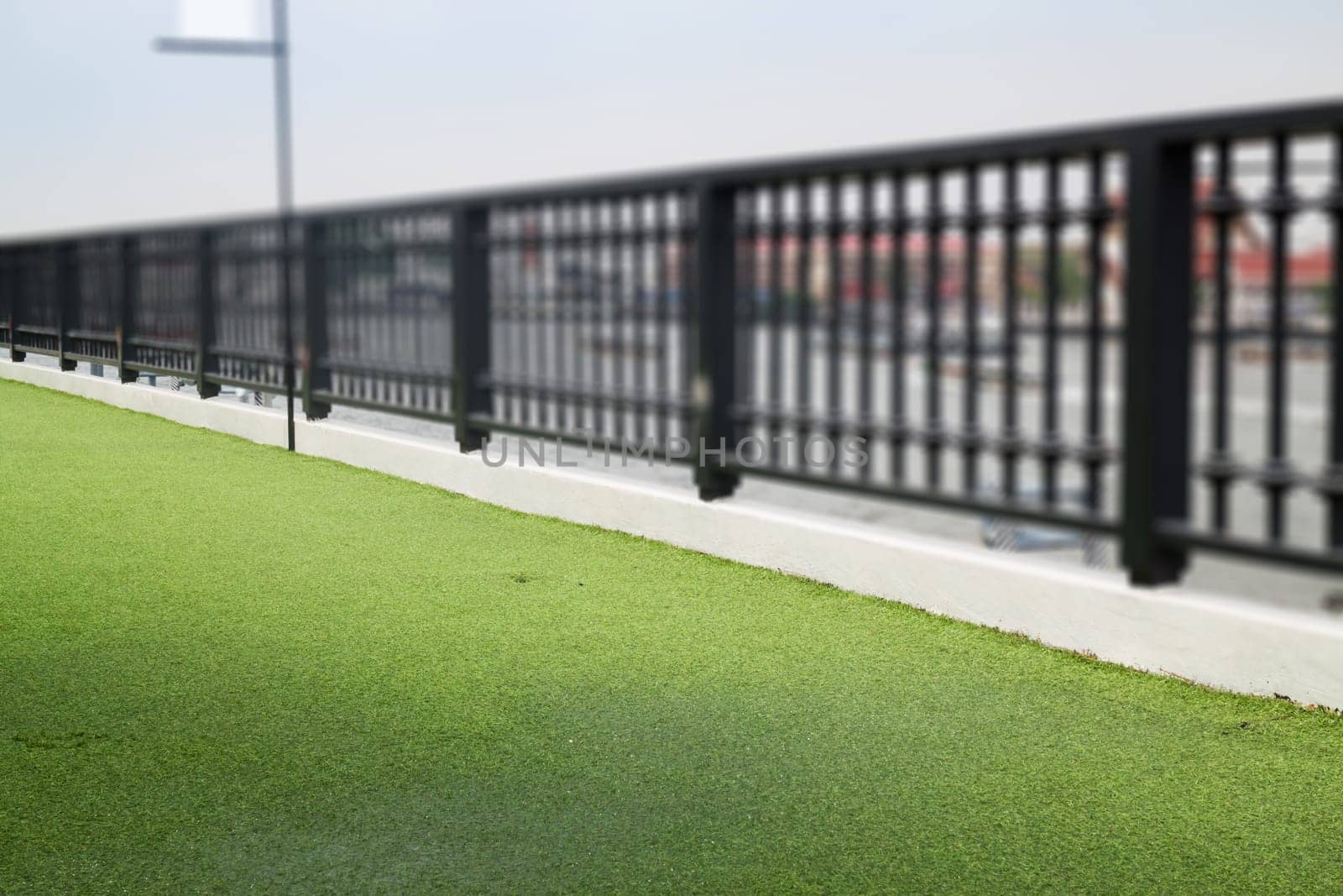 Artifical Green Grass On Rooftop, stock photo