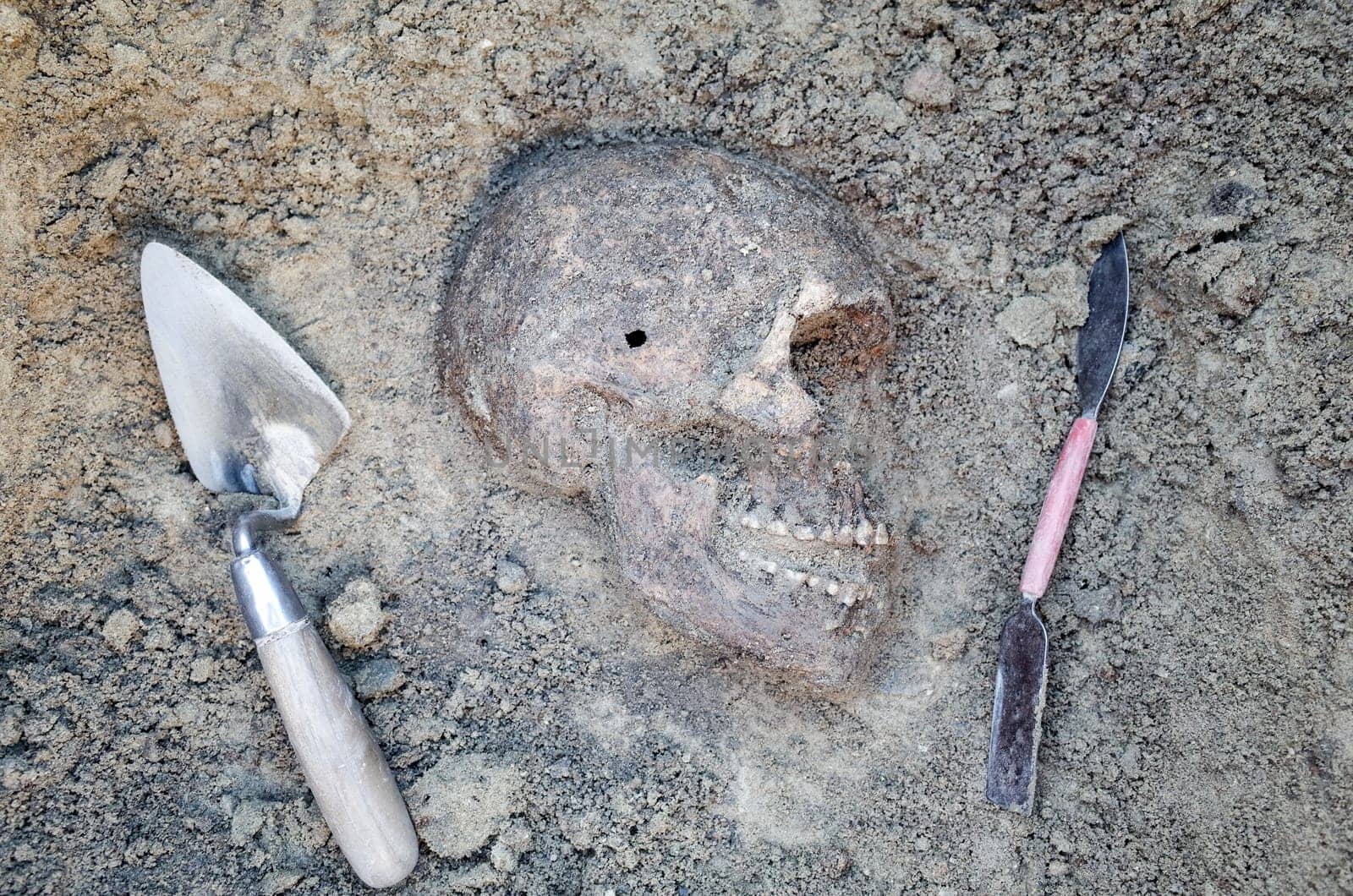 Archaeological excavation with skeletons, skulls and spartels to dig with