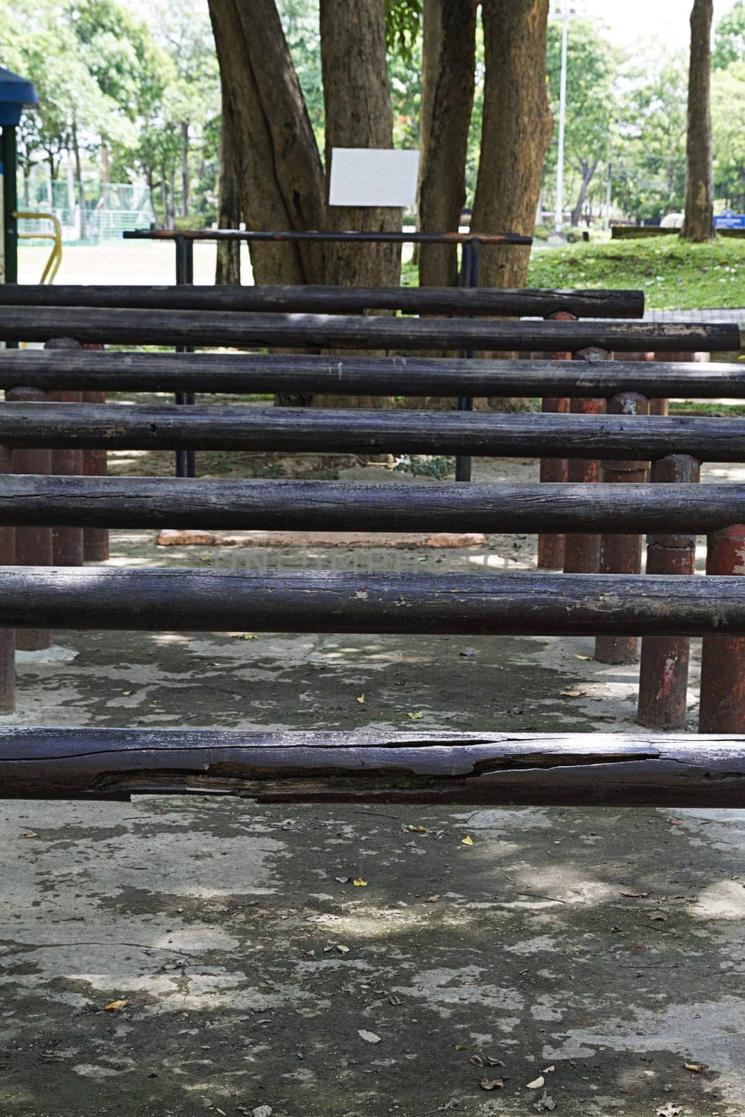 wood trunk for stretching body parts park sport