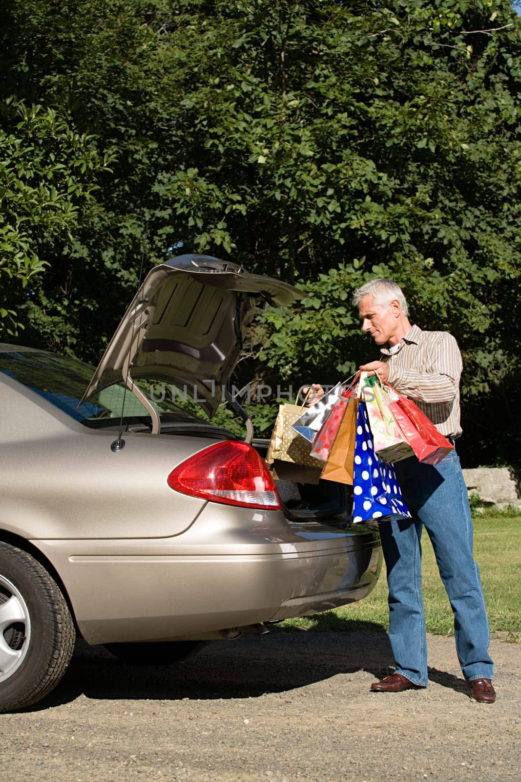 Man putting shopping bags in car