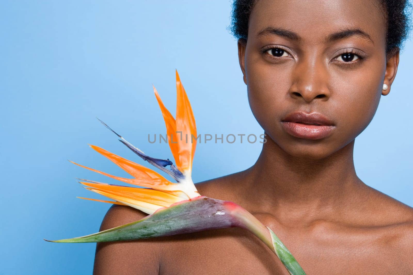 Woman holding bird of paradise flower