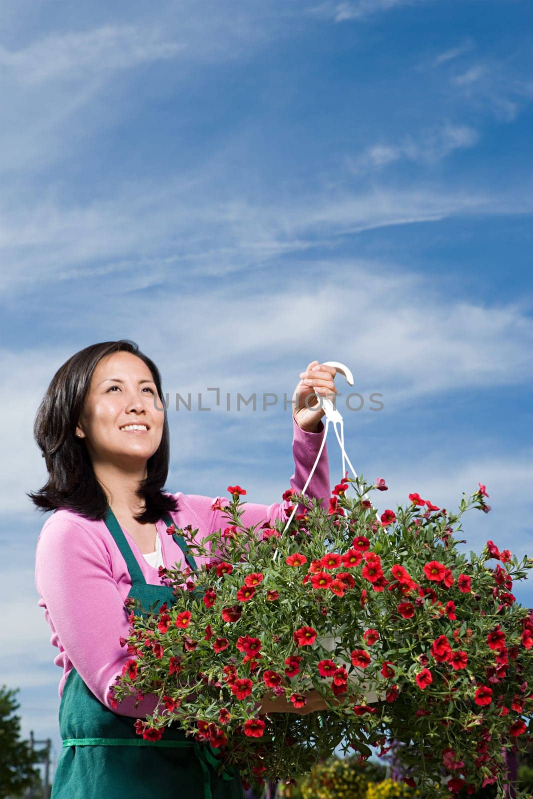 Shop assistant holding hanging basket