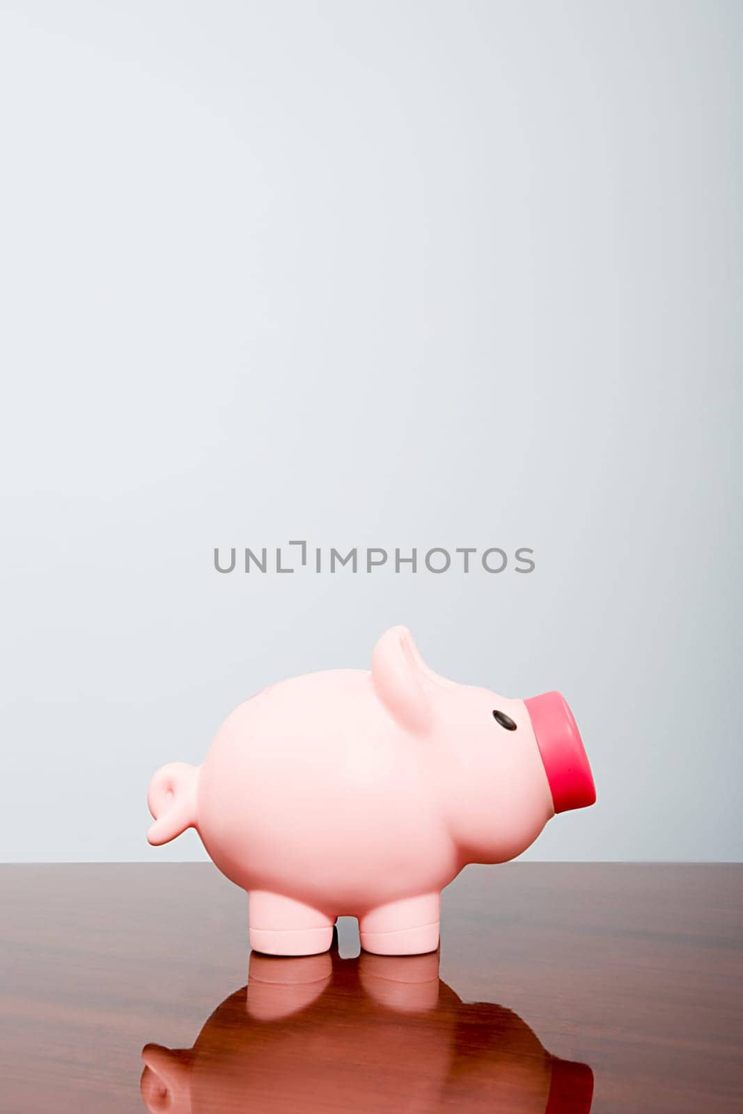 Piggy bank