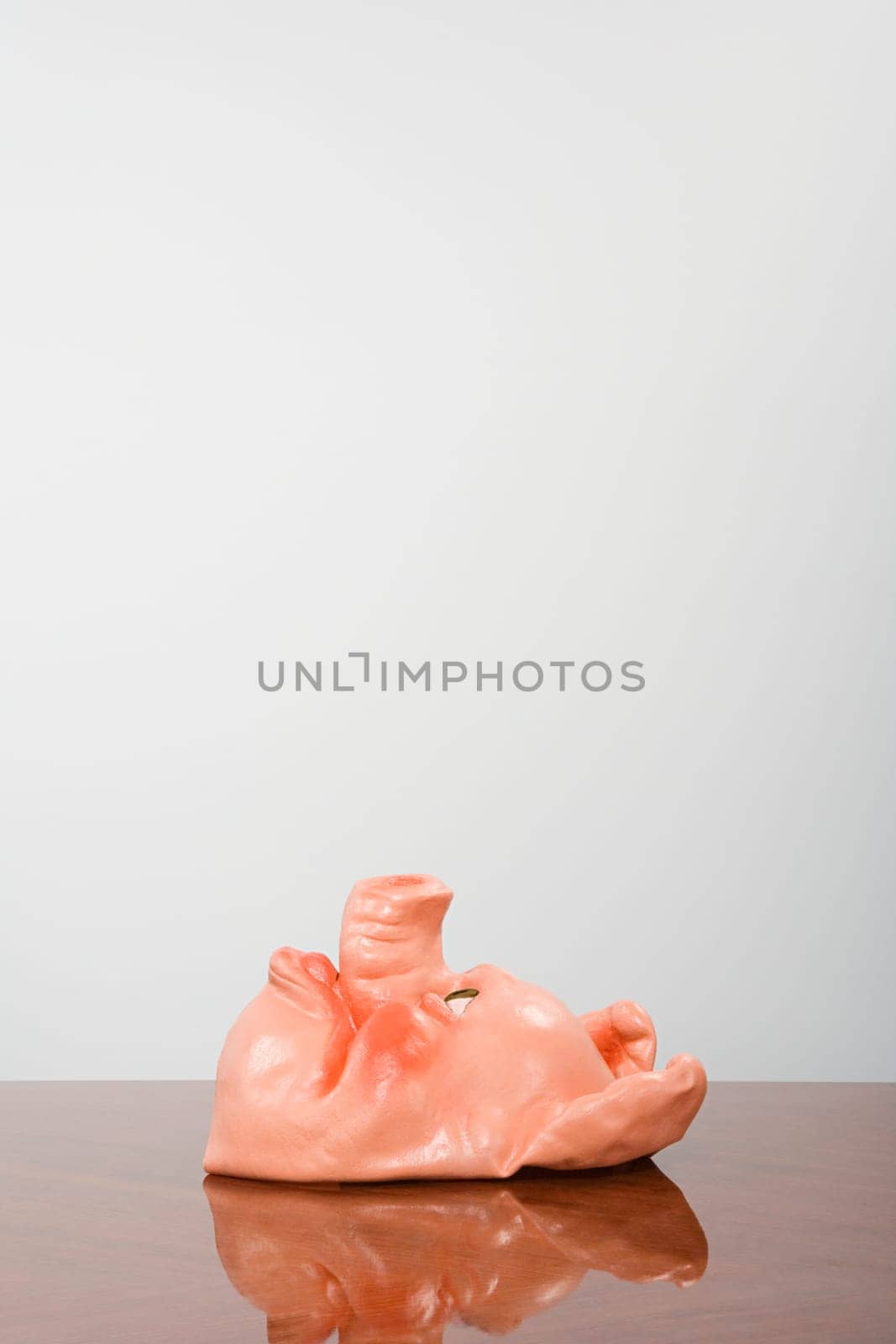 Pig mask