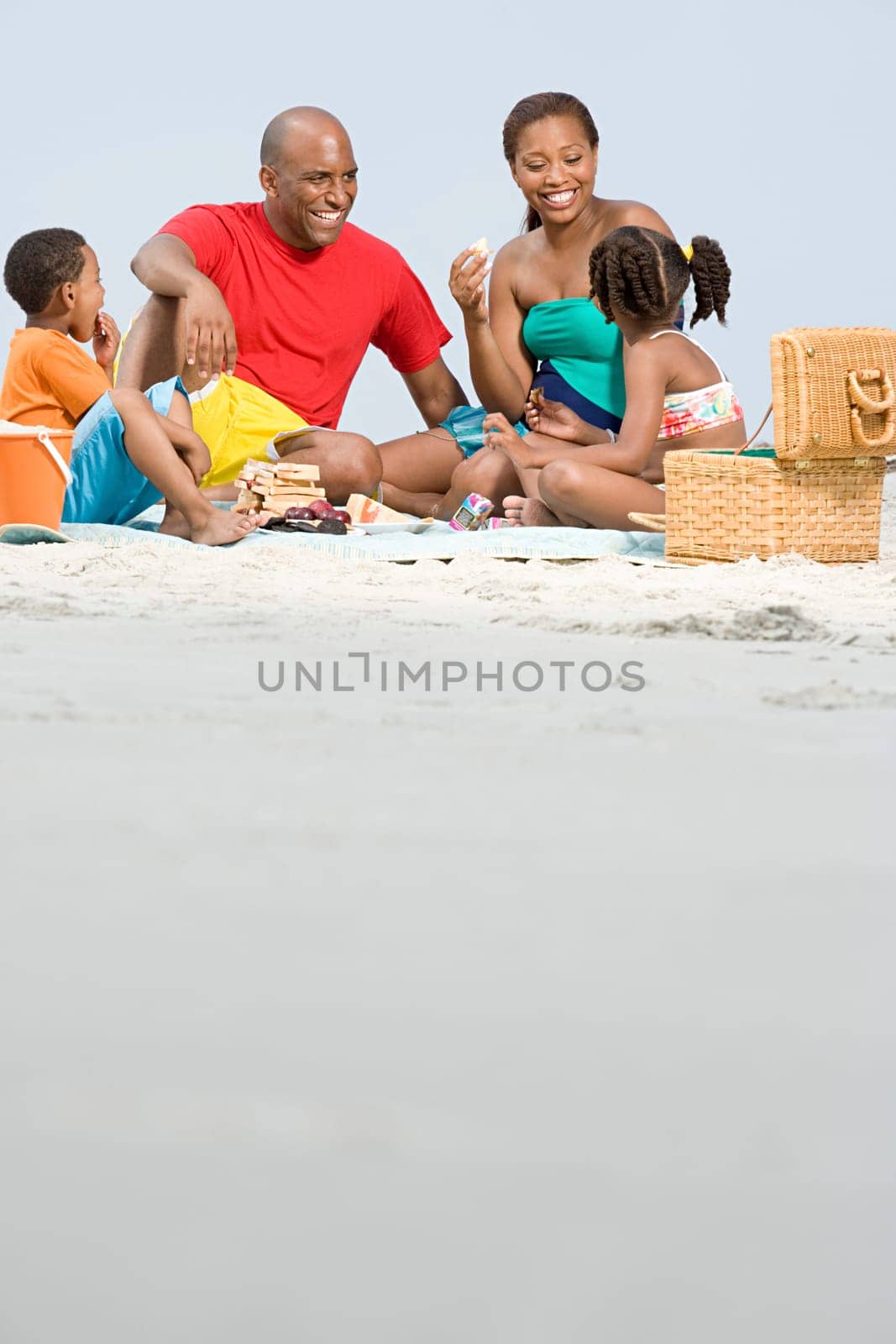 Family having a picnic