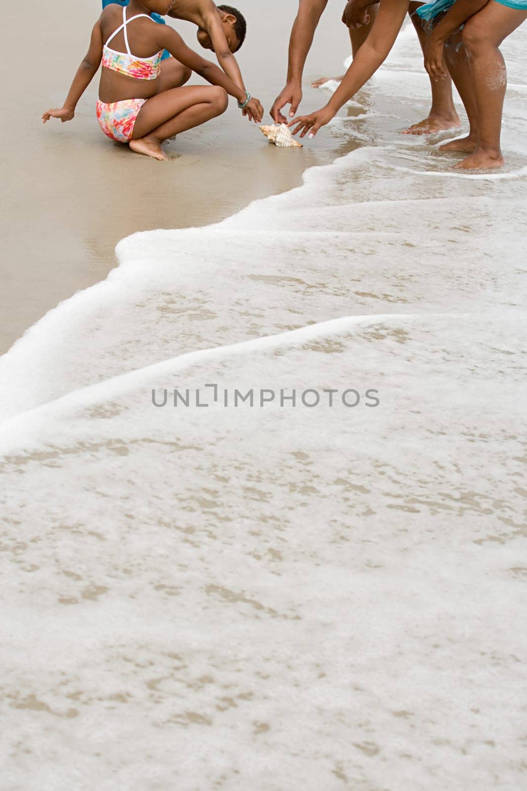 Family looking at shell