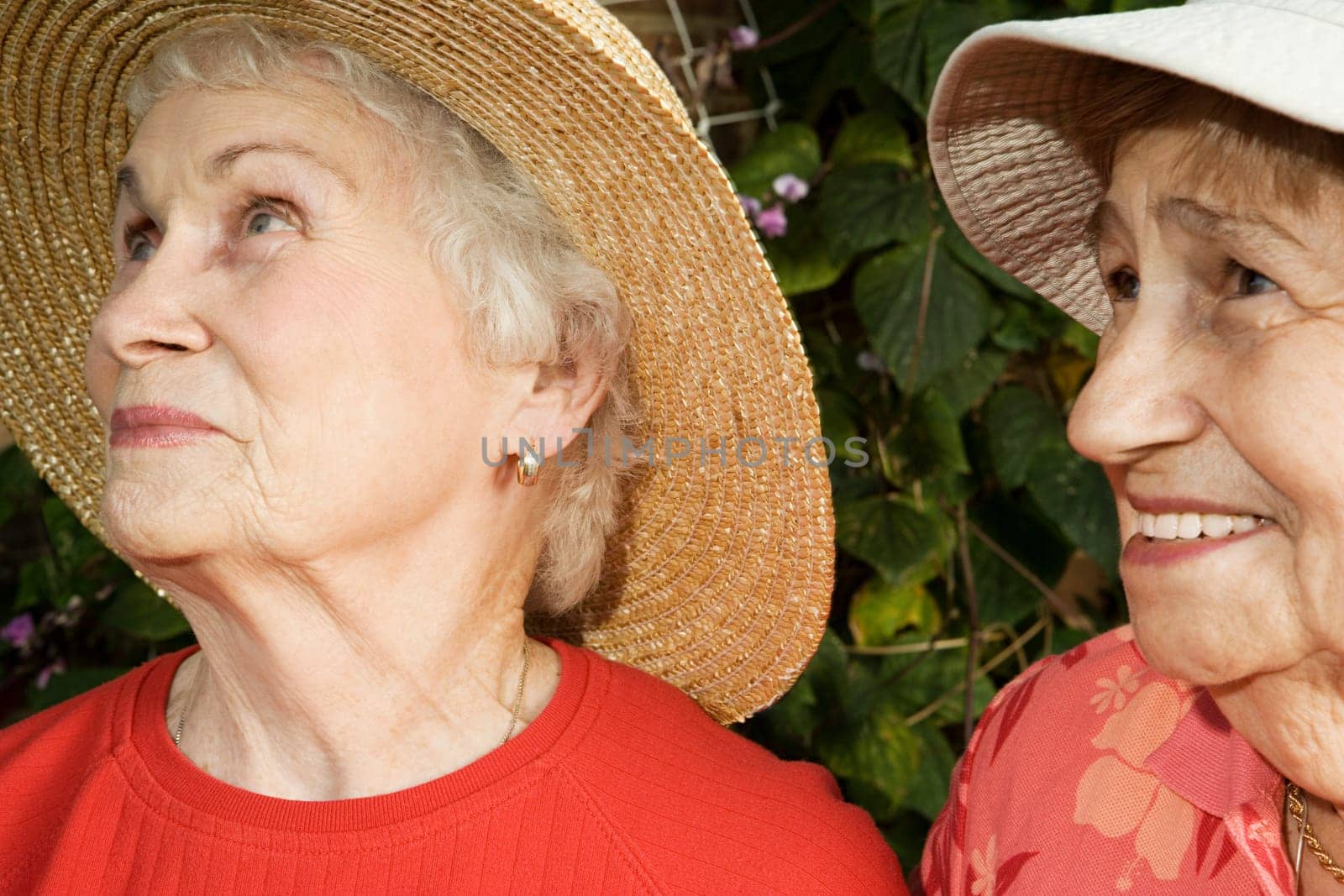 Portrait of two senior women