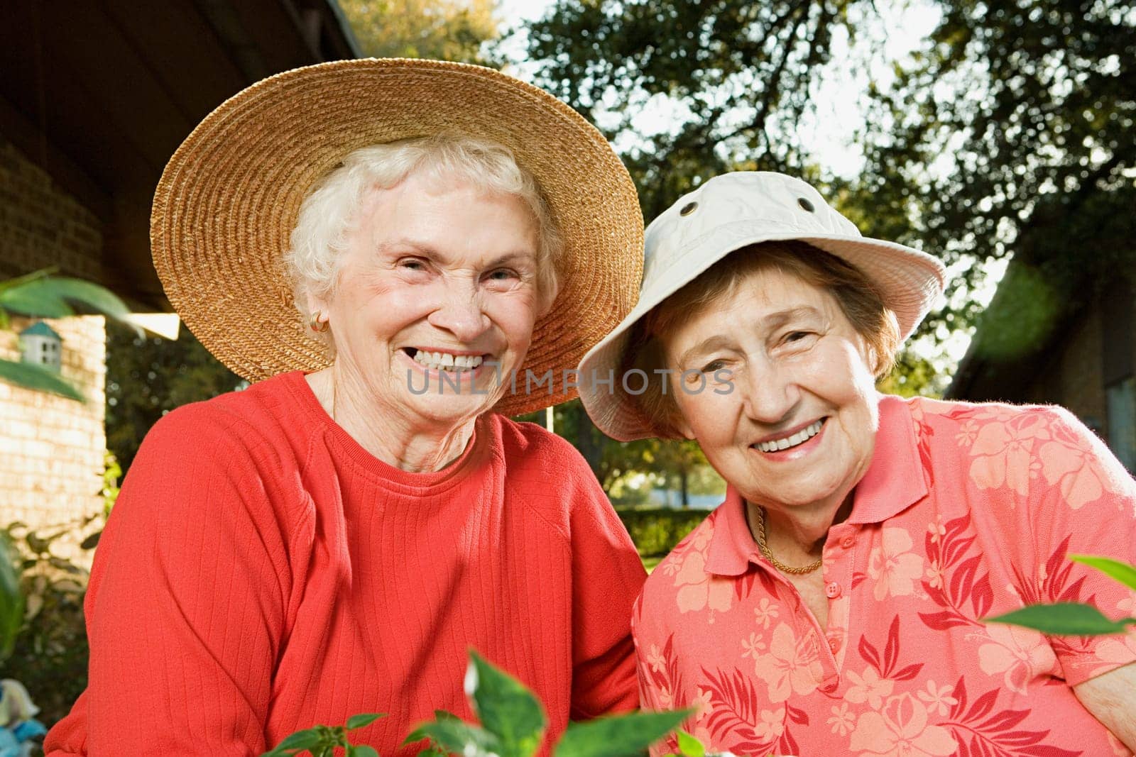 Portrait of two senior women